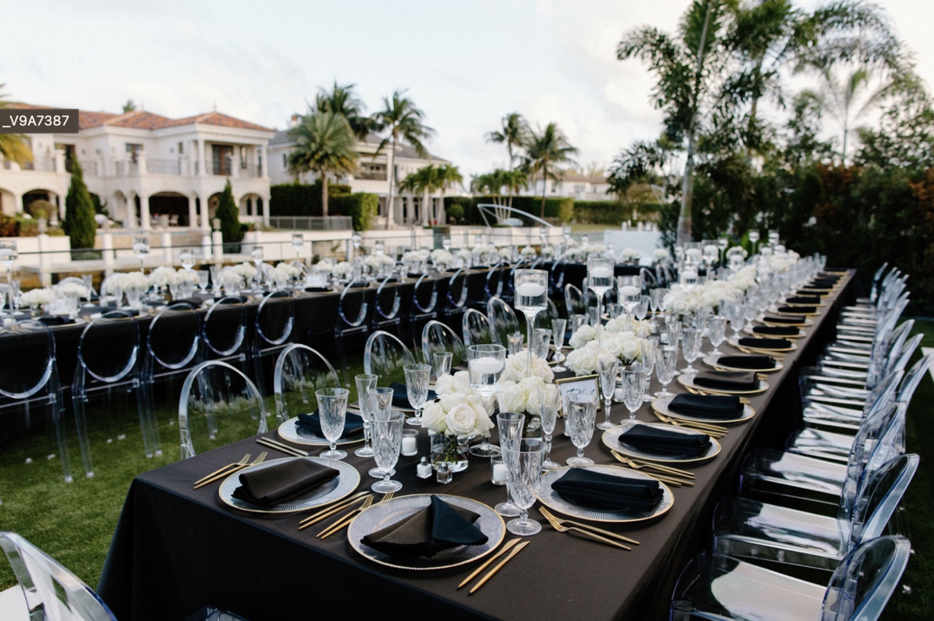 Cover photo of Le Stem