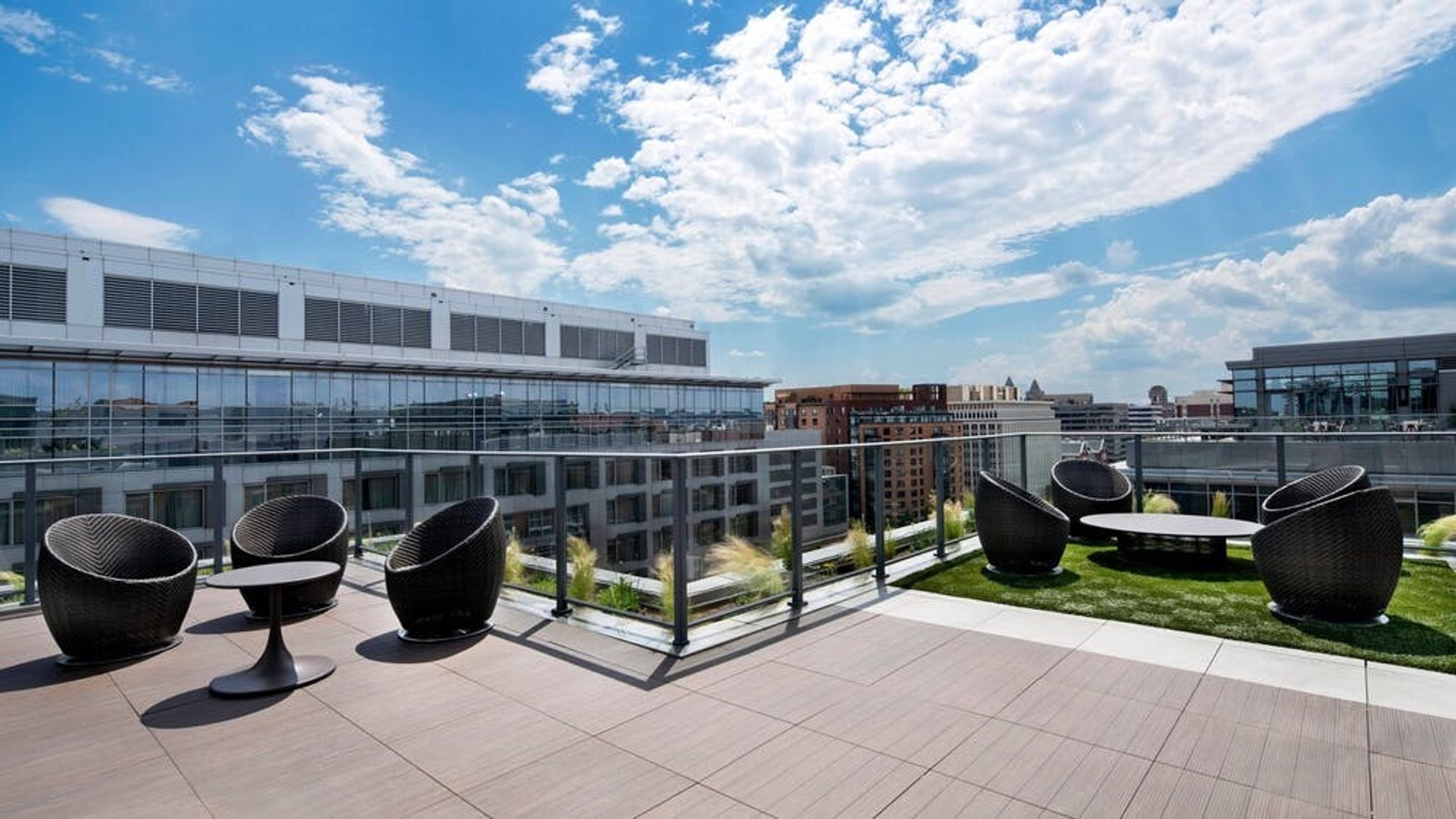 Cover photo of The Delegate