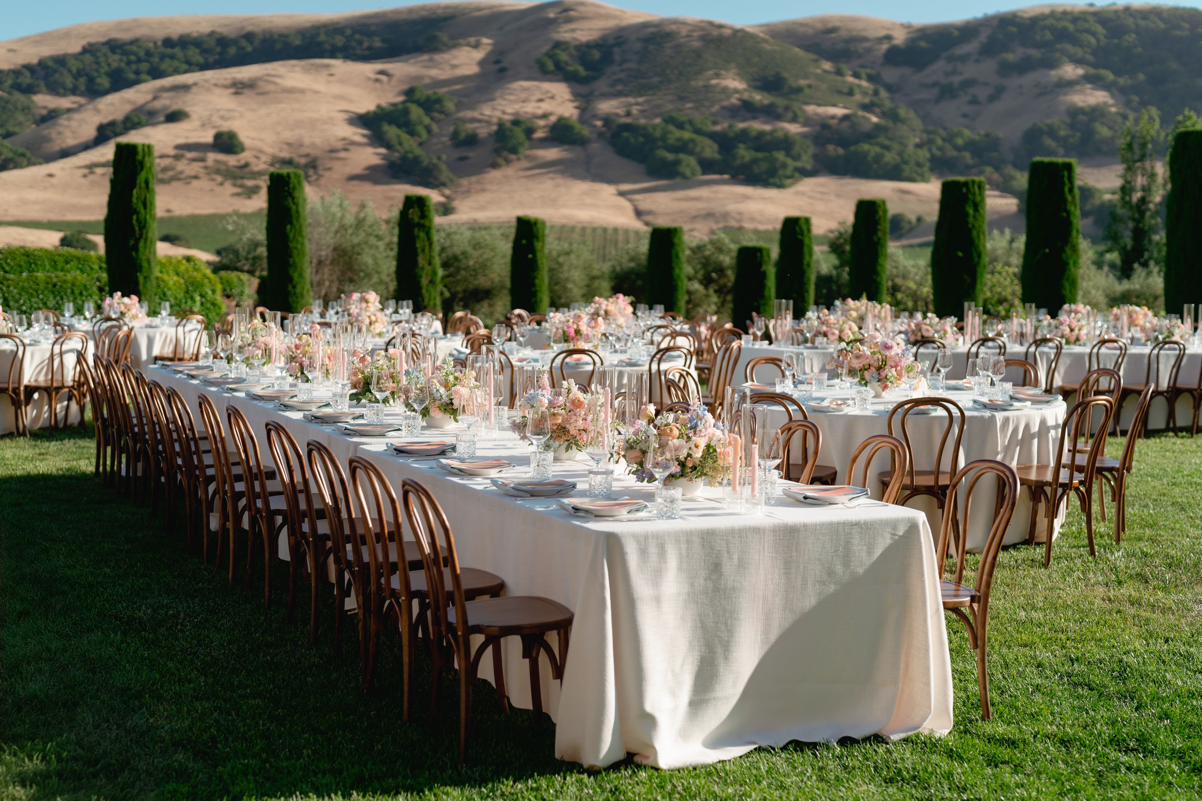 Cover photo of Standard Event Rentals