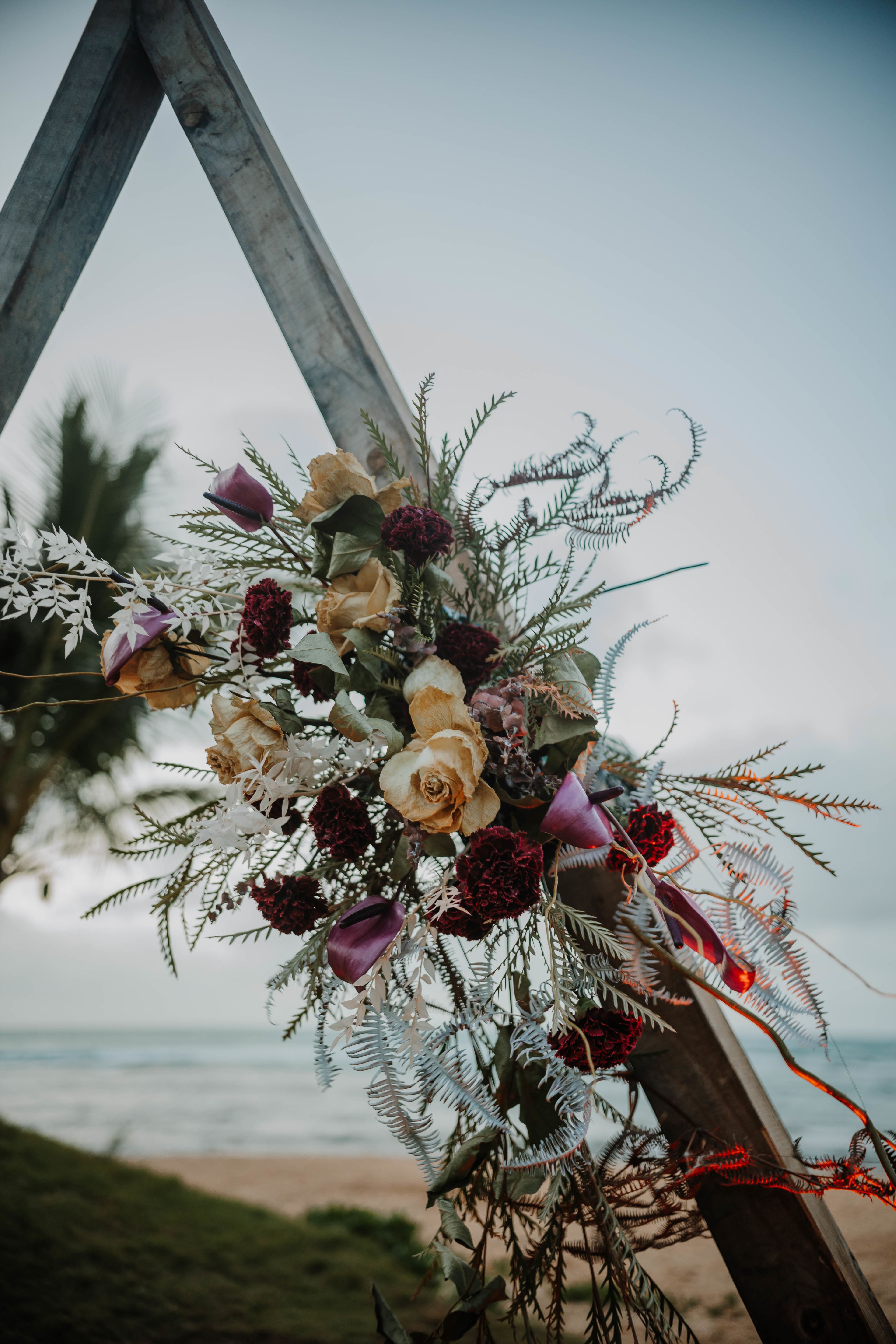 Cover photo of The Agency Collective