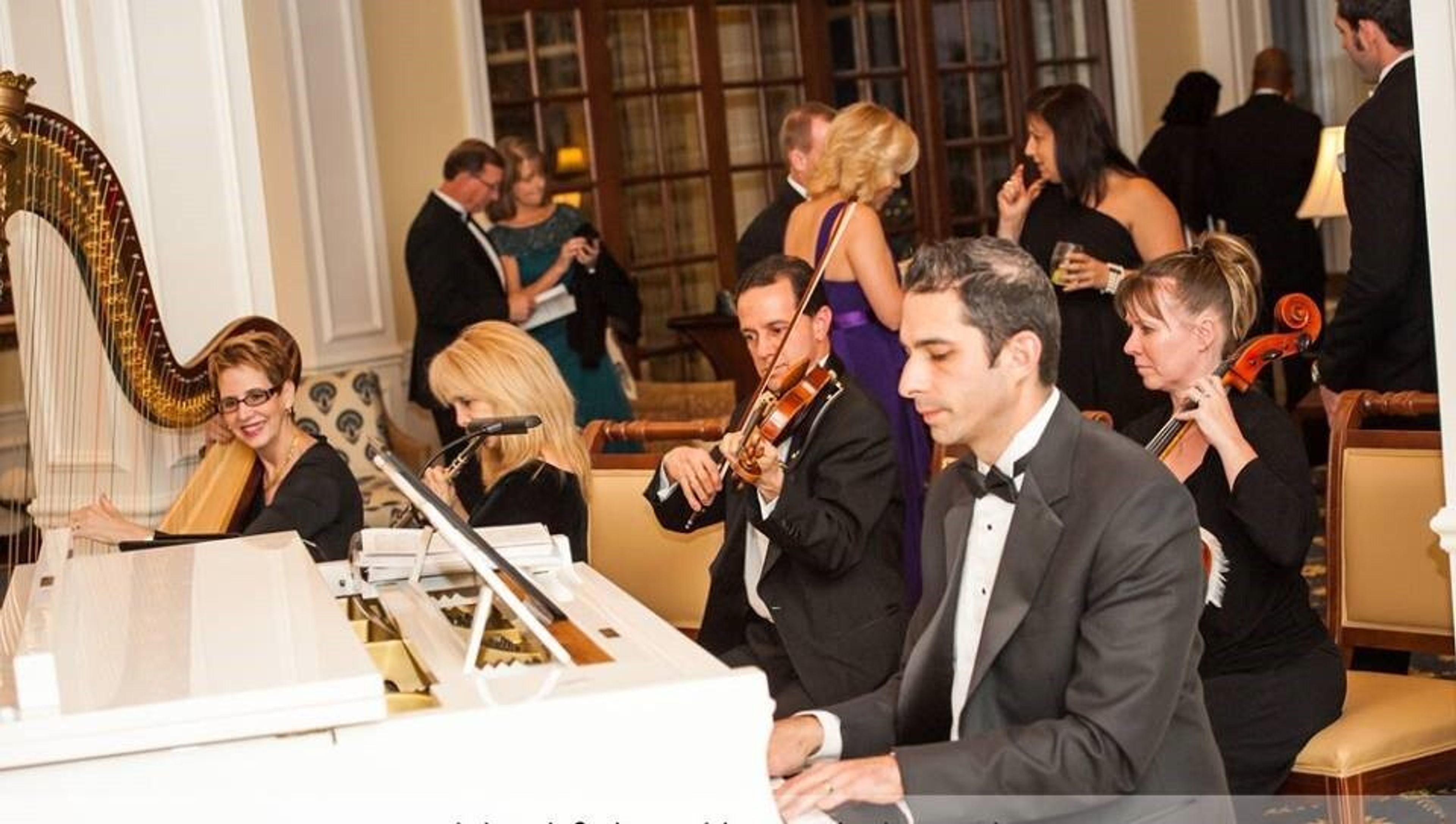 Cover photo of The Elegant Harp