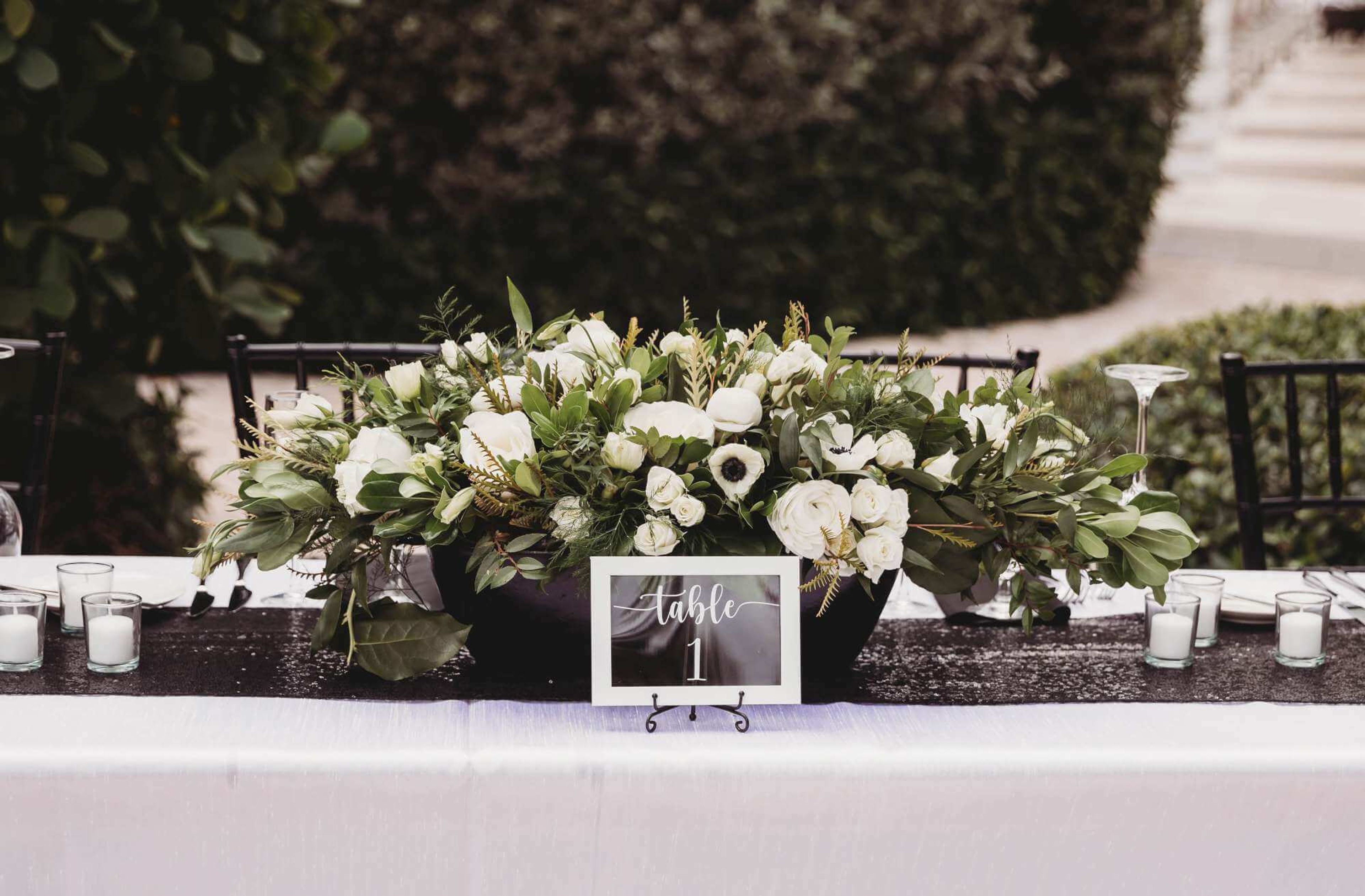 Cover photo of Dianthus Miami