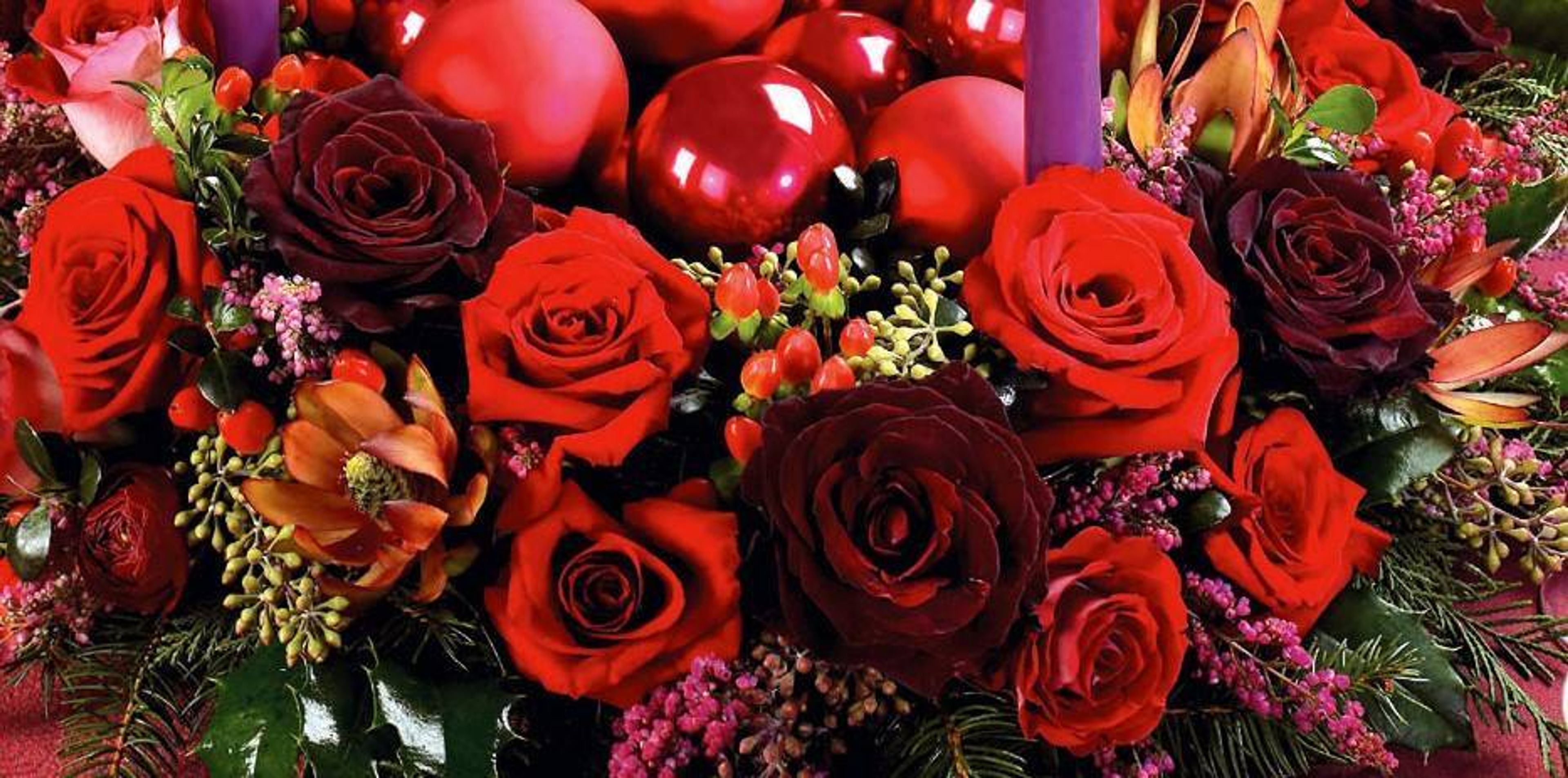 Cover photo of Global Rose