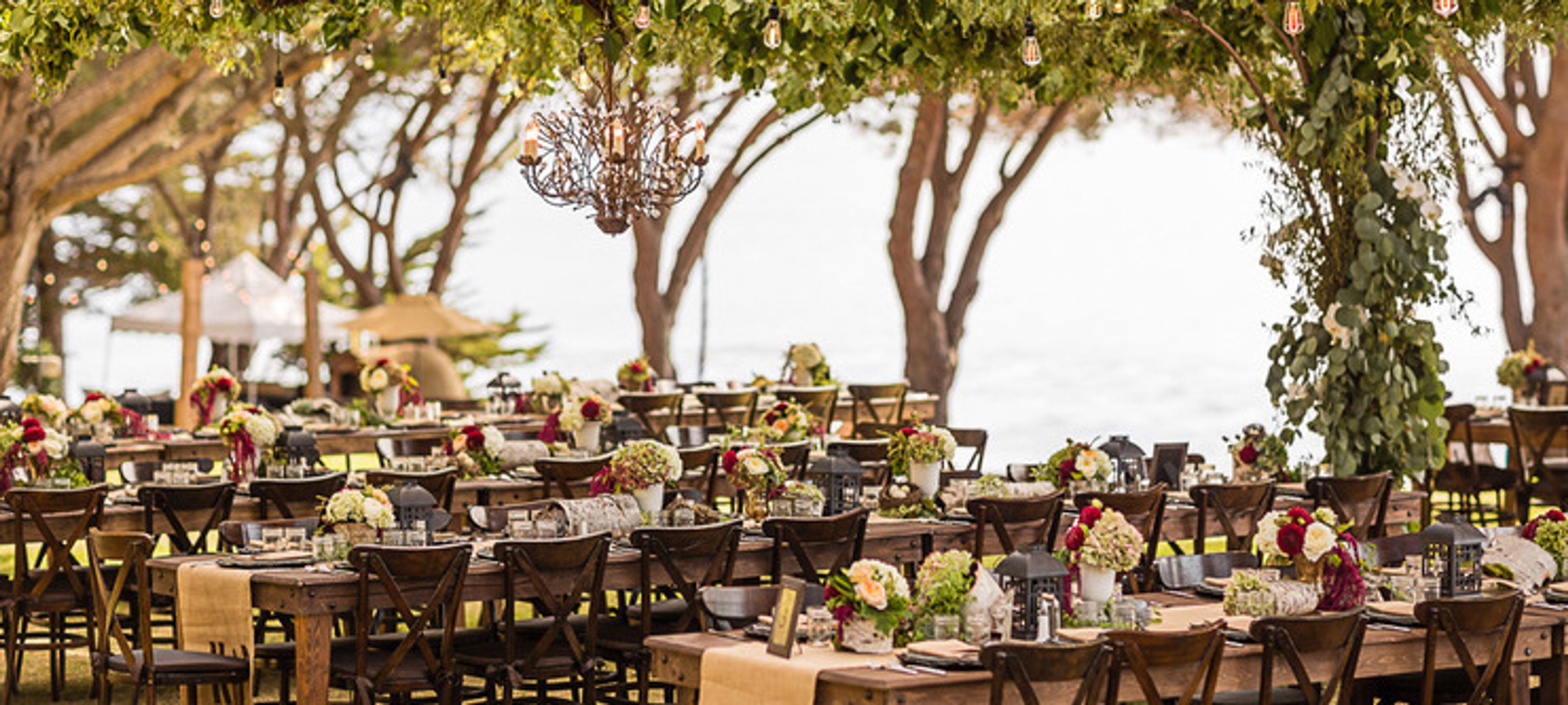 Cover photo of Christine Cater Floral & Event Design