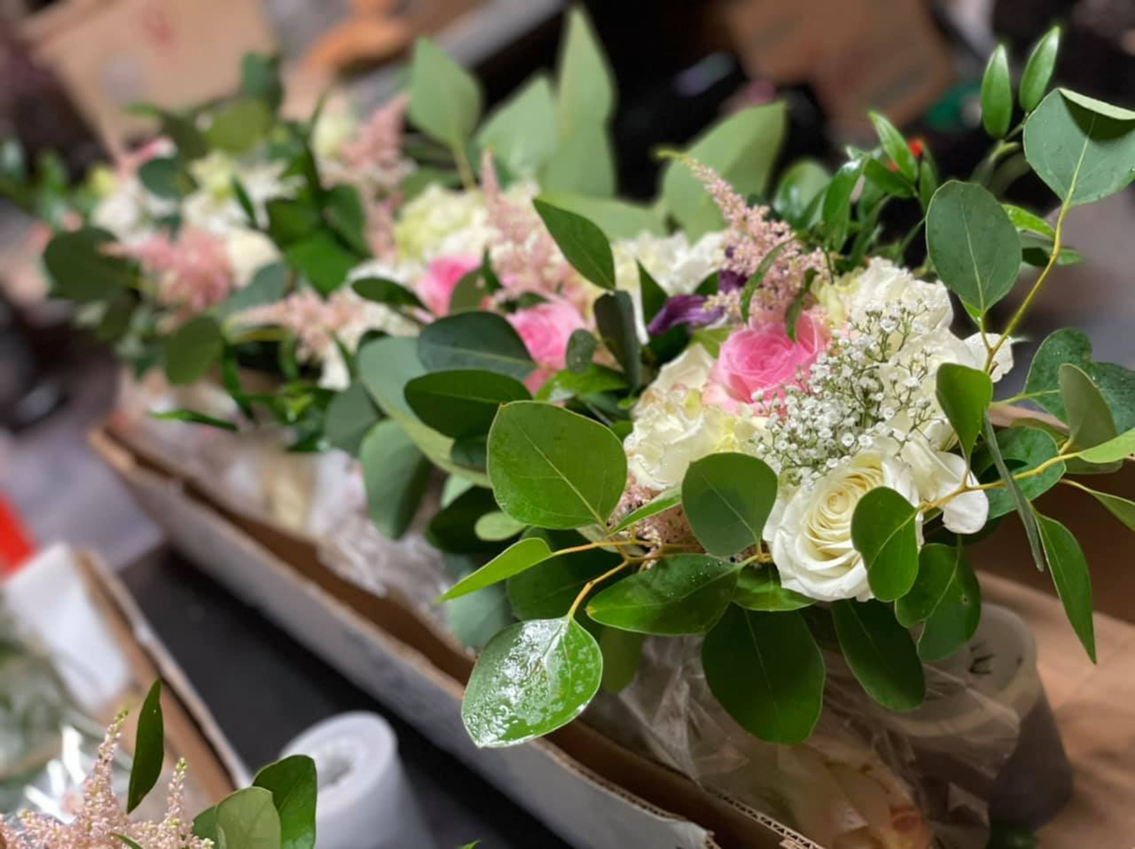 Cover photo of Carmen Flora