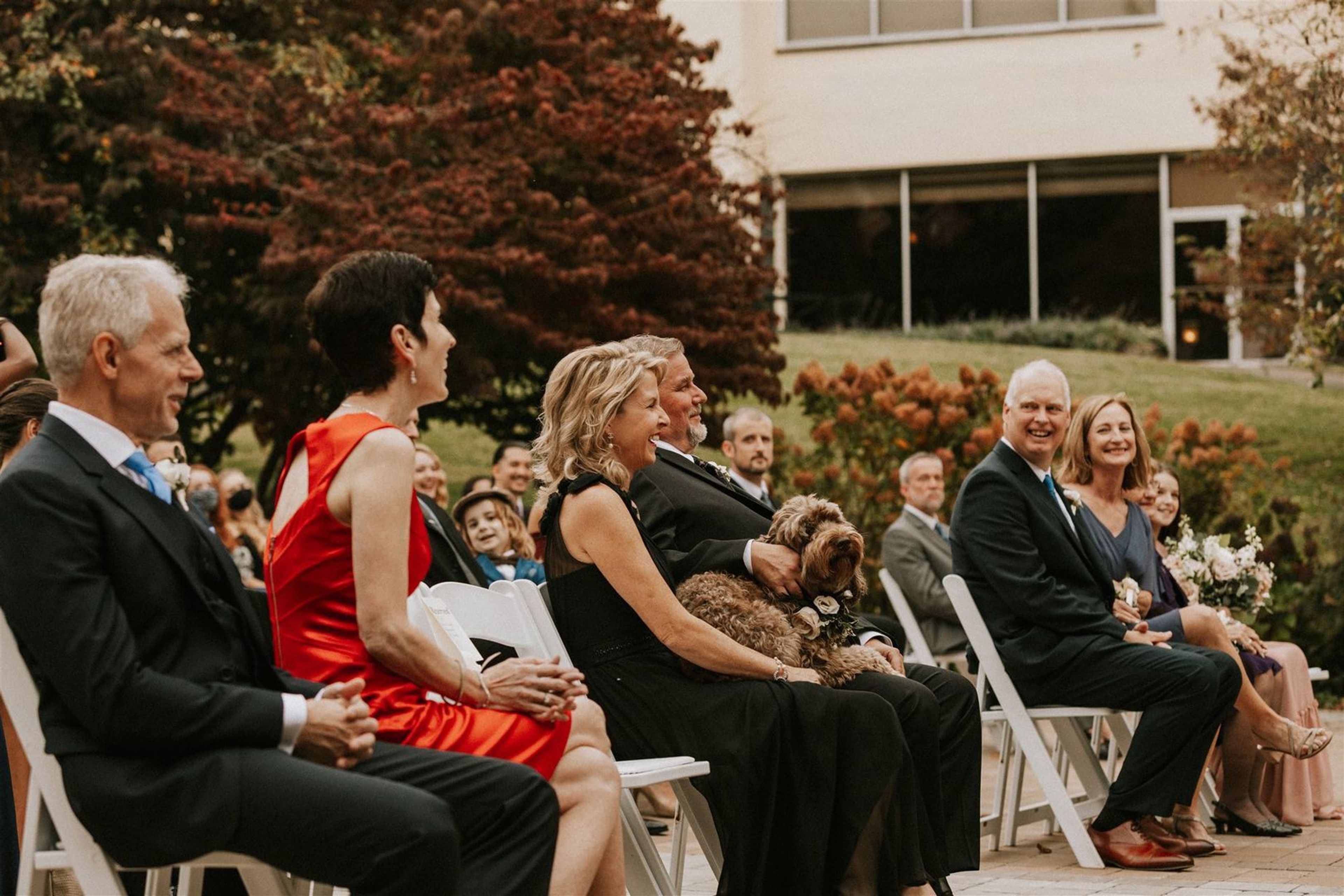 Cover photo of White Pumpkin