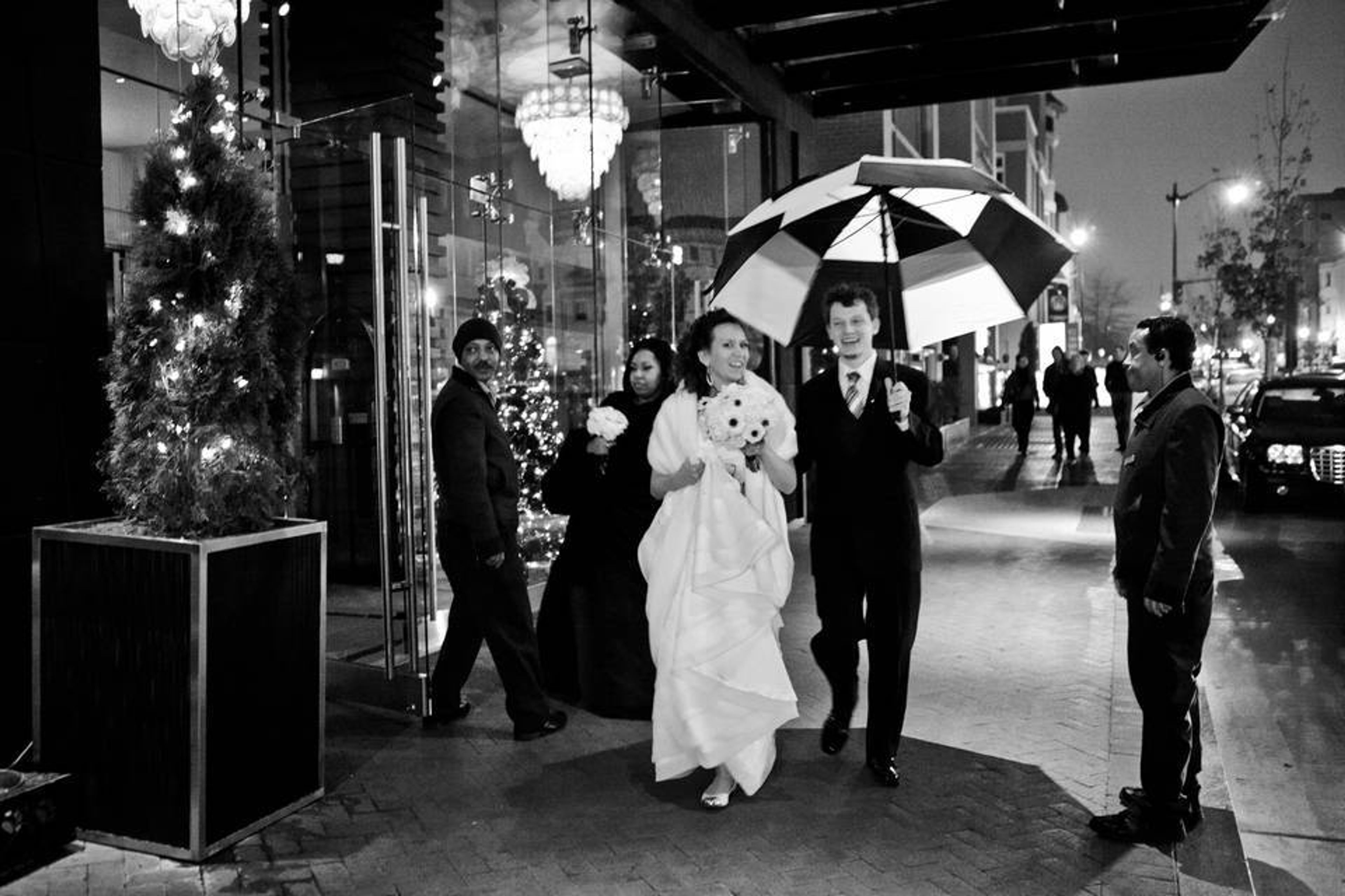 Cover photo of The Secret Life of Daydreams