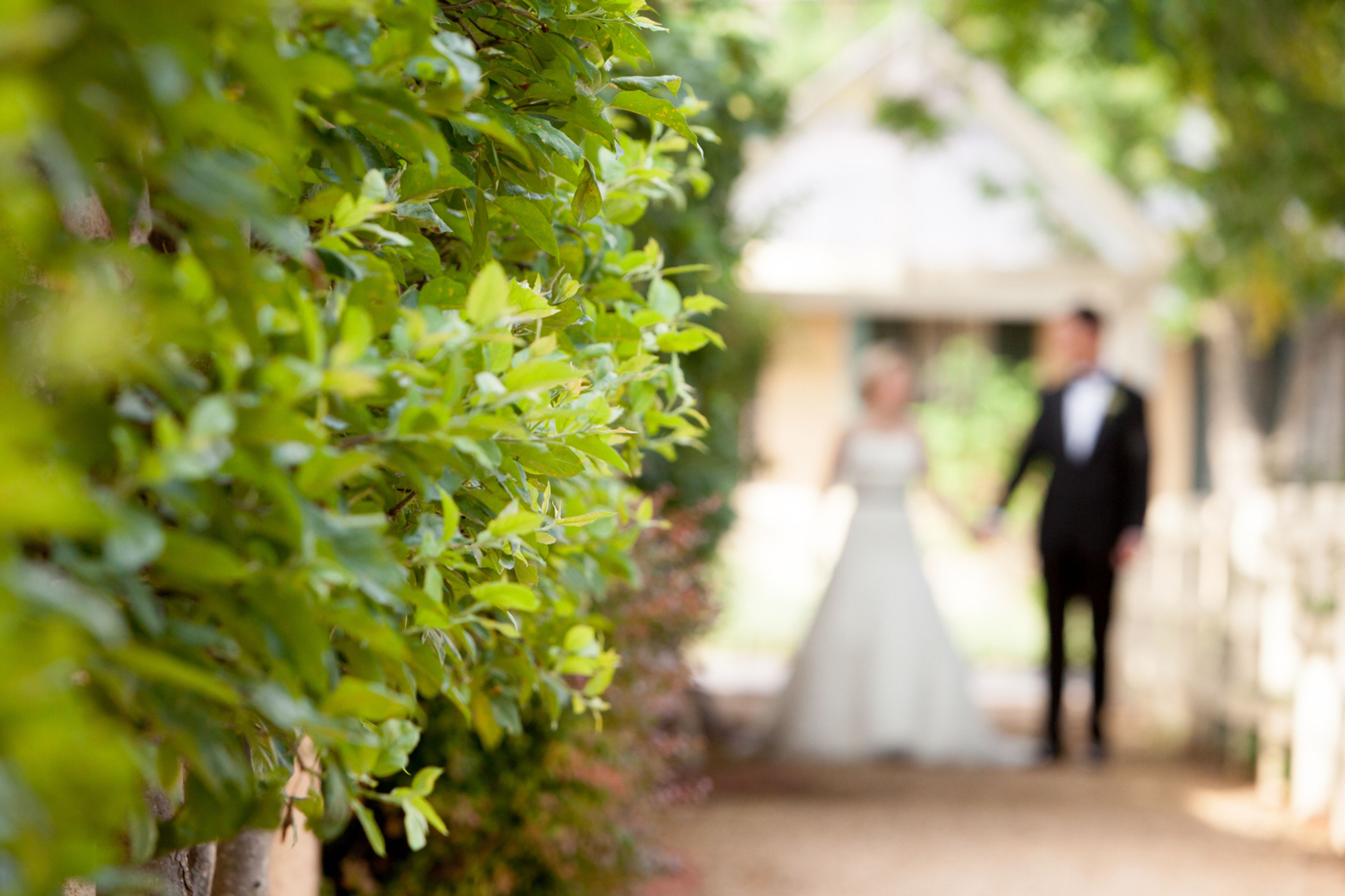 Cover photo of Easy Event Ideas LLC