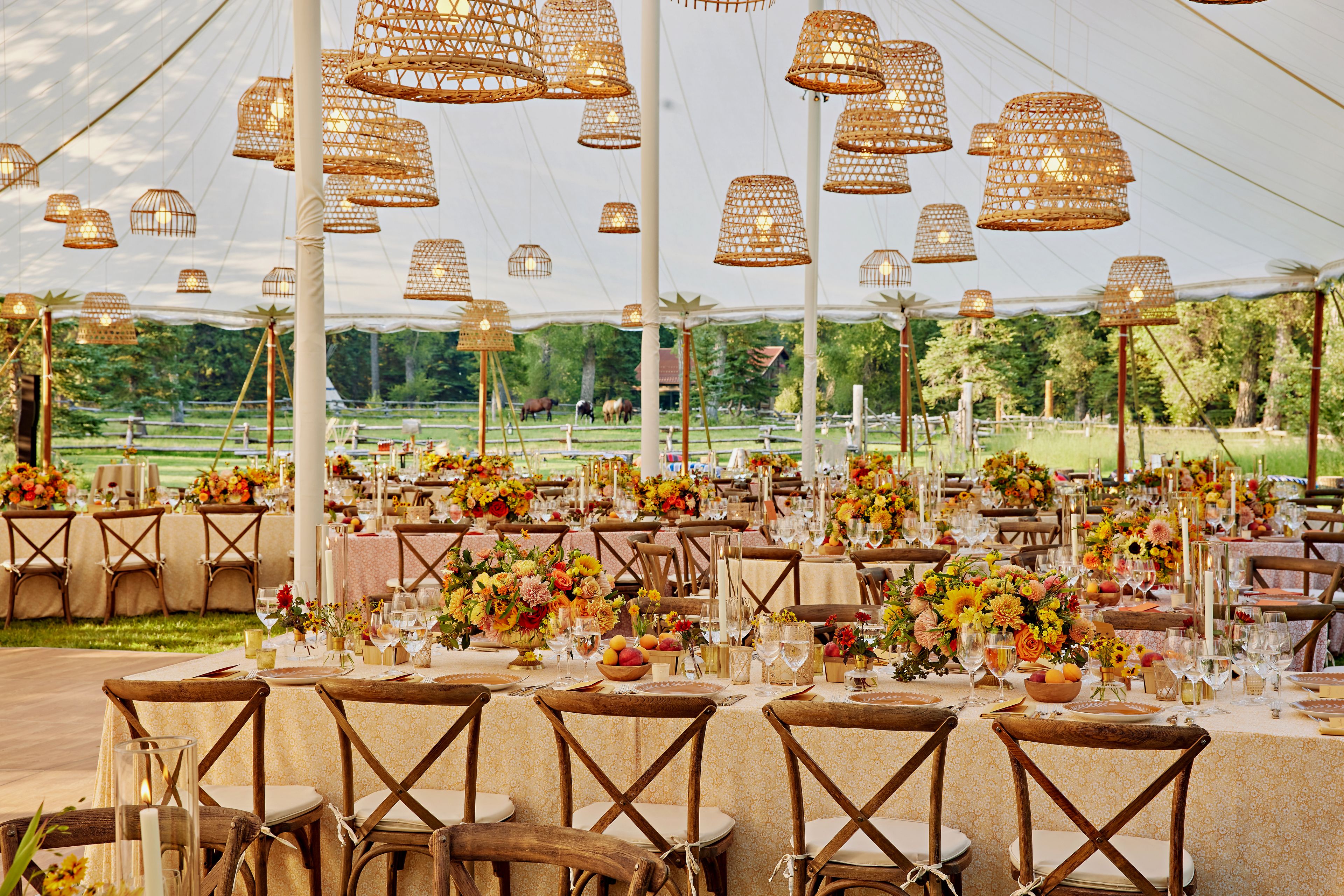 Cover photo of Augusta Cole