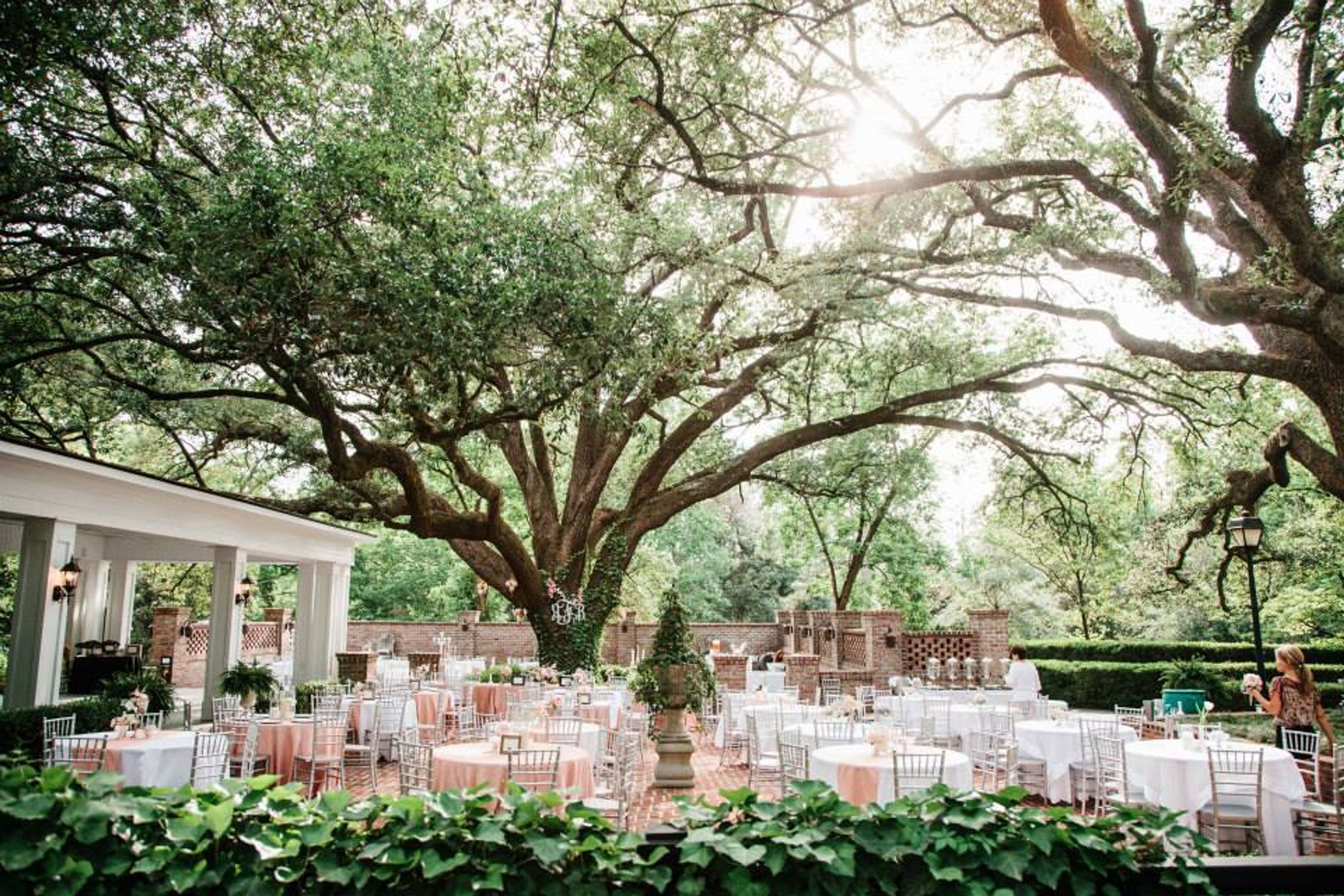 Cover photo of Quinney Oaks Plantation