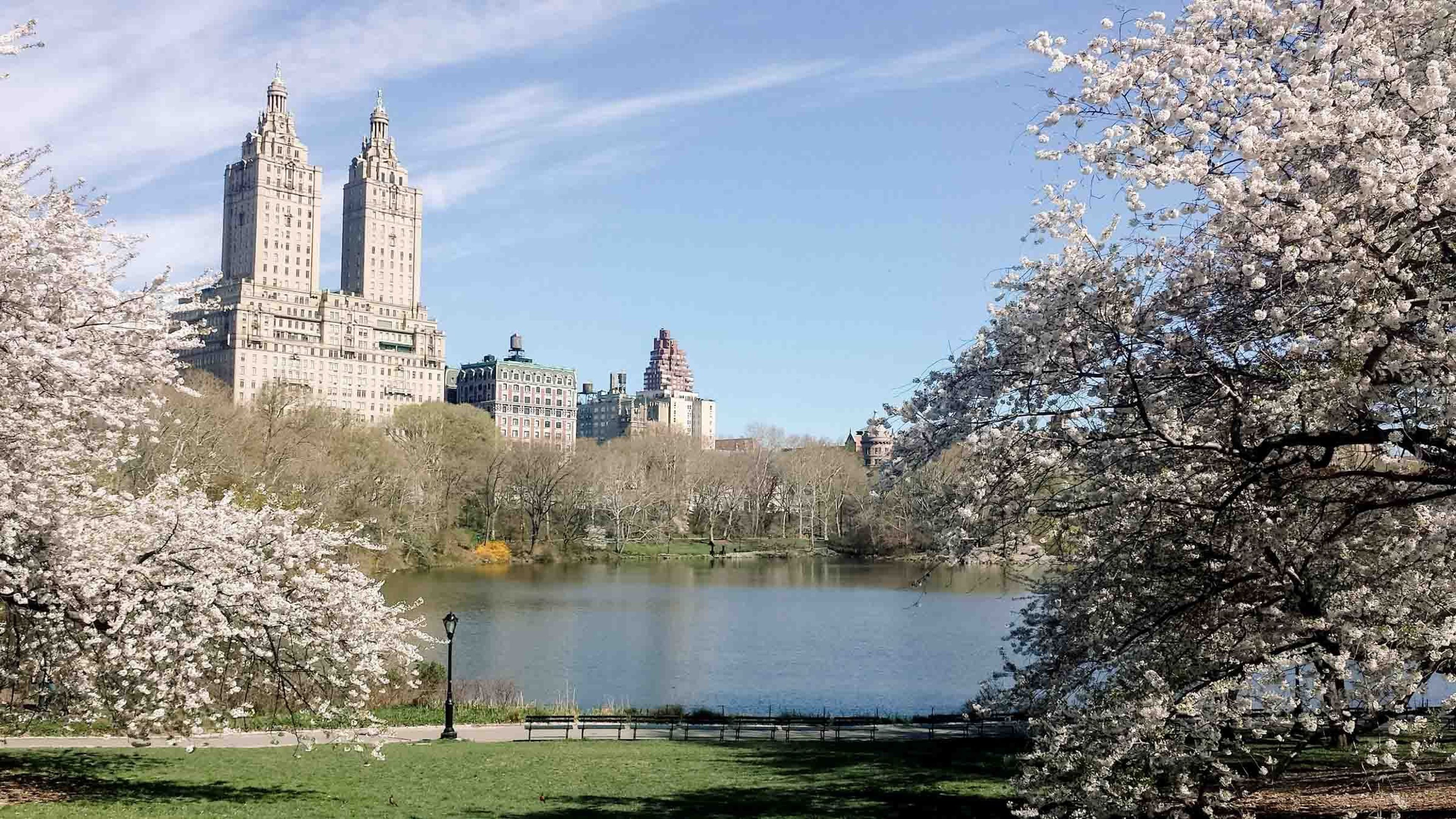 Cover photo of Nora Sun Photography