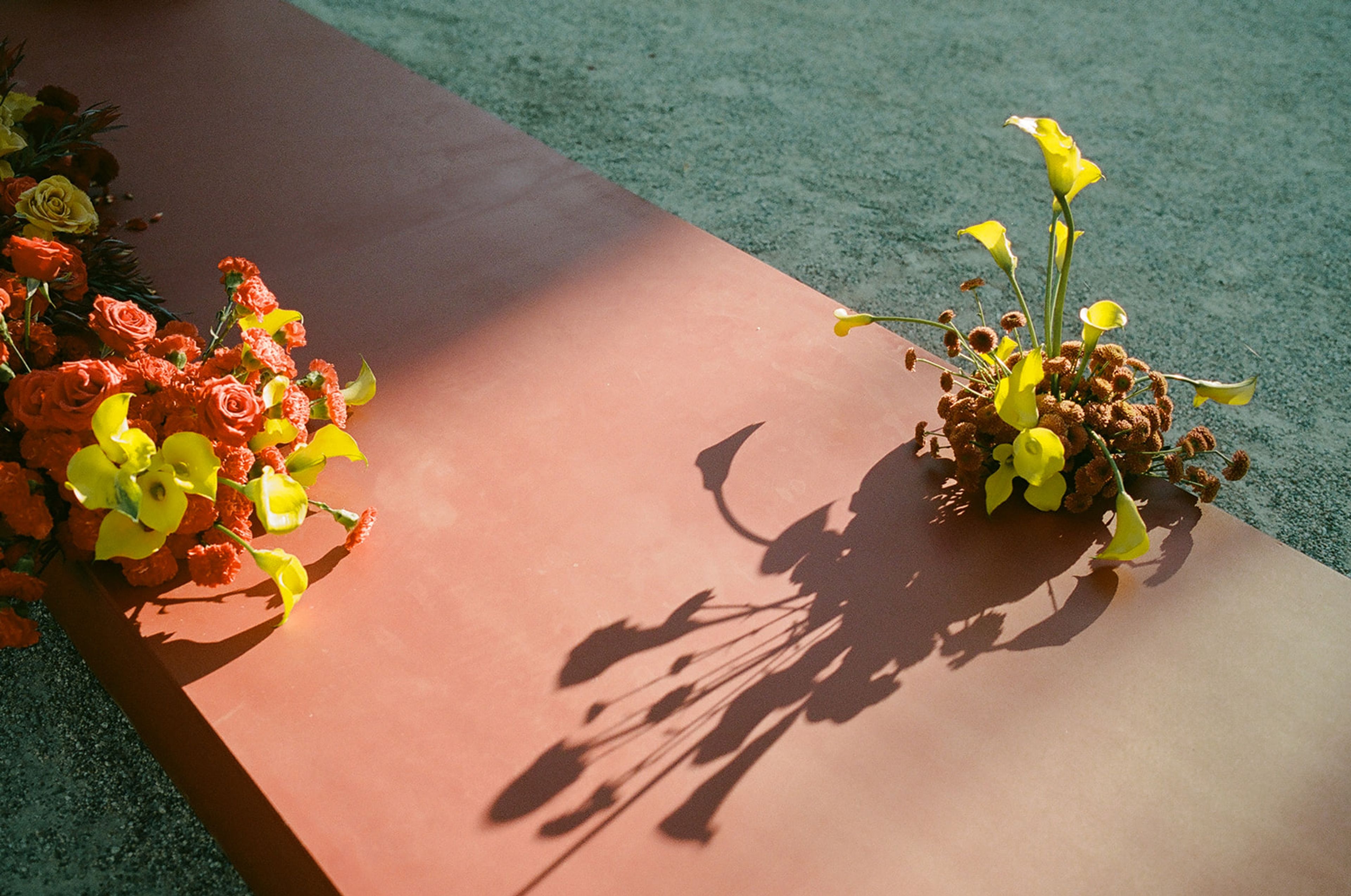 Cover photo of Ash + OAK