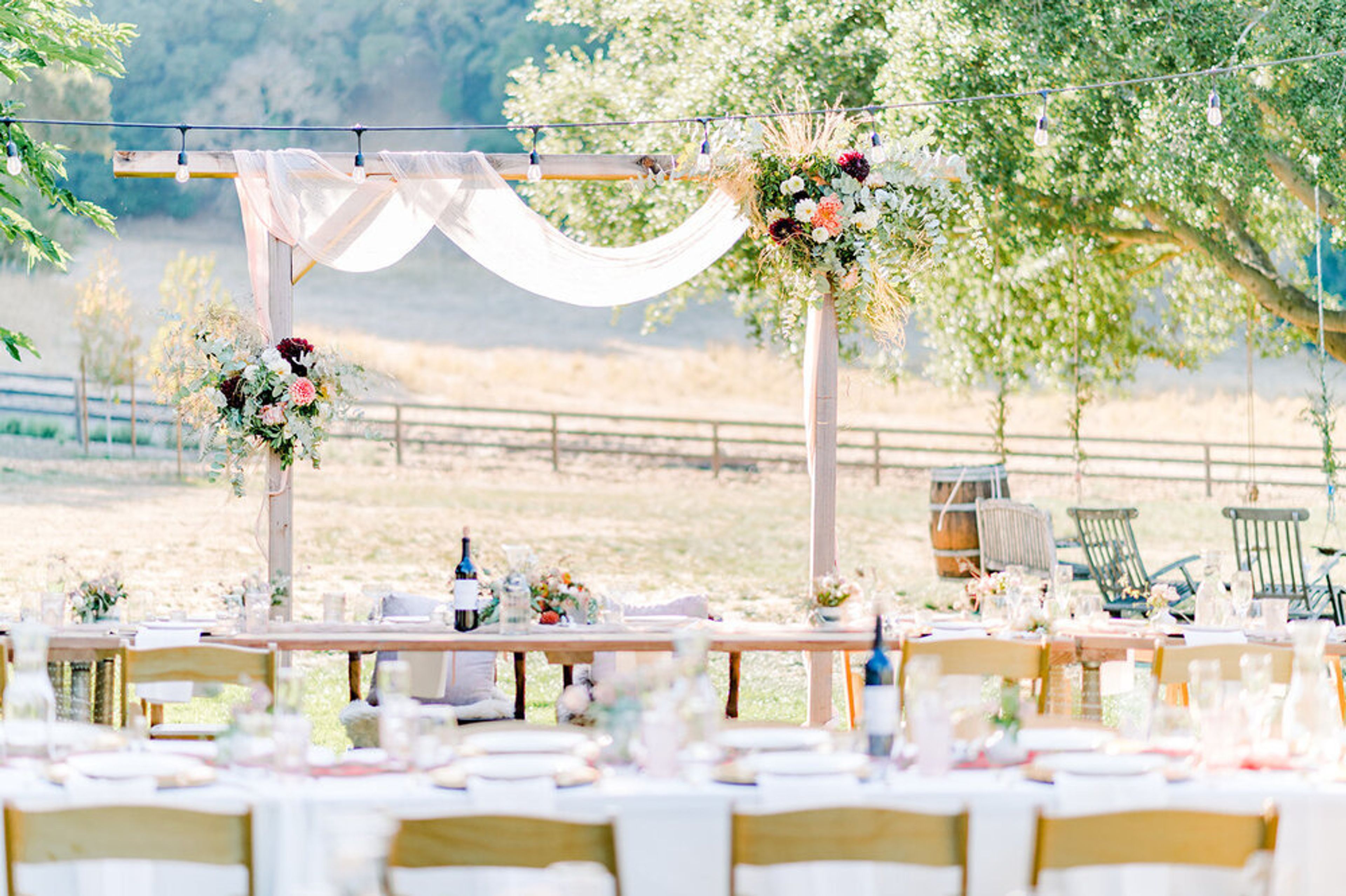 Cover photo of Bluma Flower Farm and Floral Design