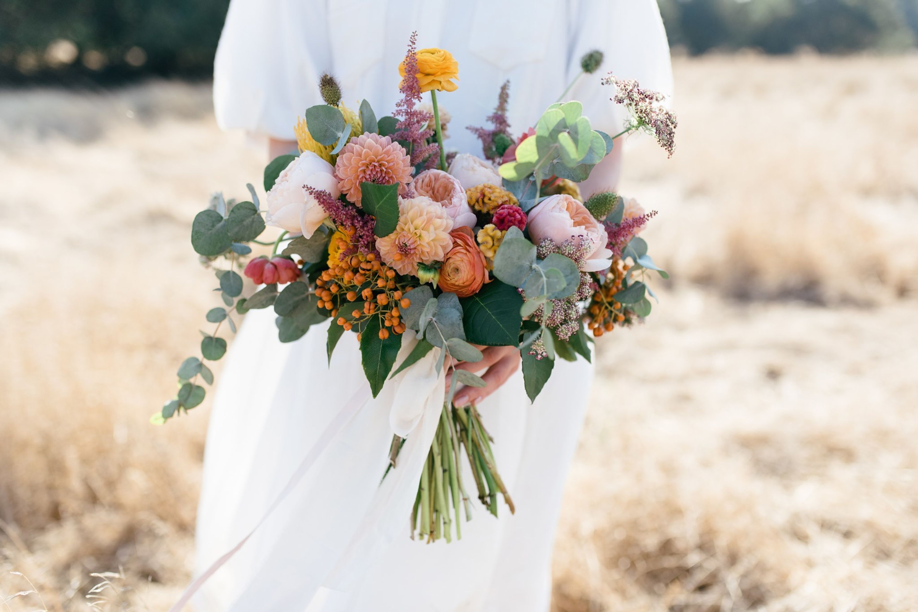 Cover photo of Orange Blossom's Floral