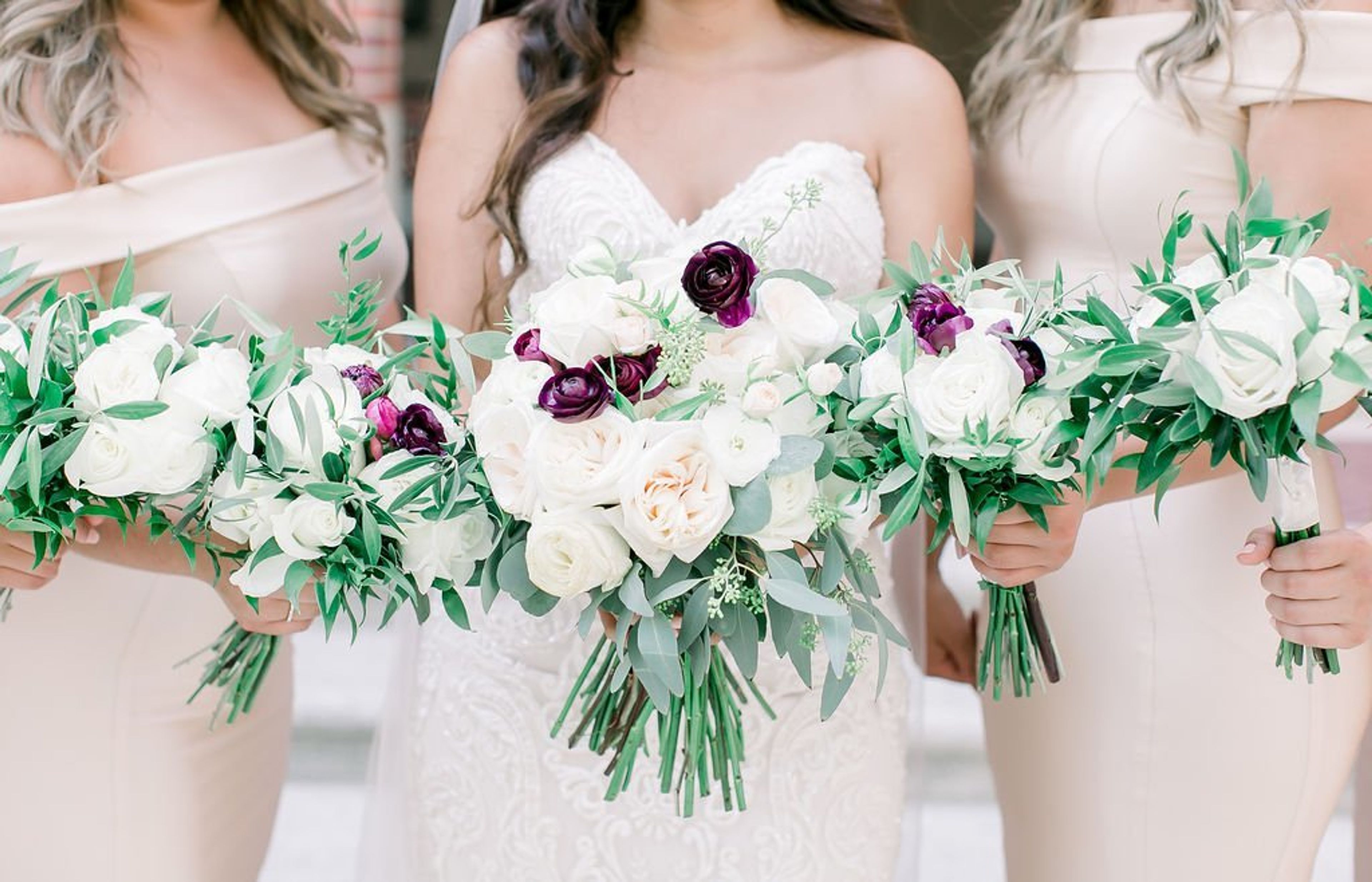 Cover photo of Cielo Rose Flowers