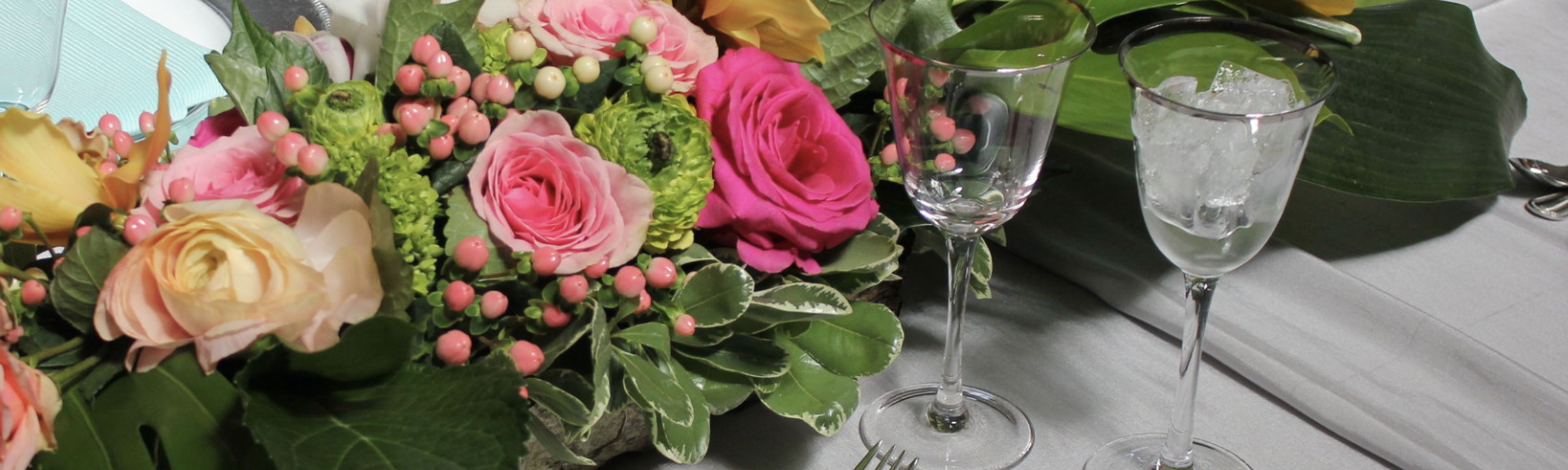 Cover photo of Francois-Pijuan