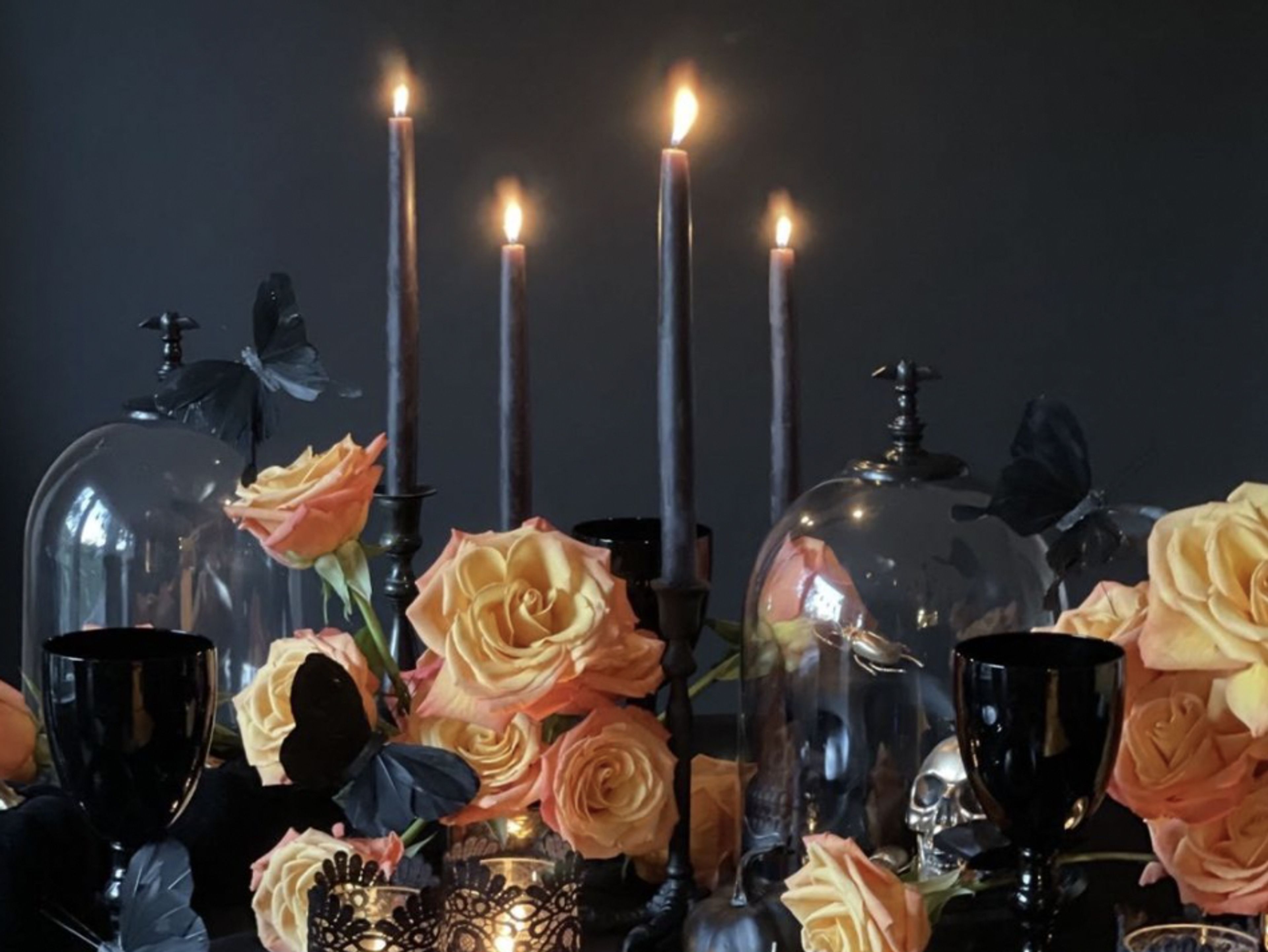 Cover photo of Posy Flowers