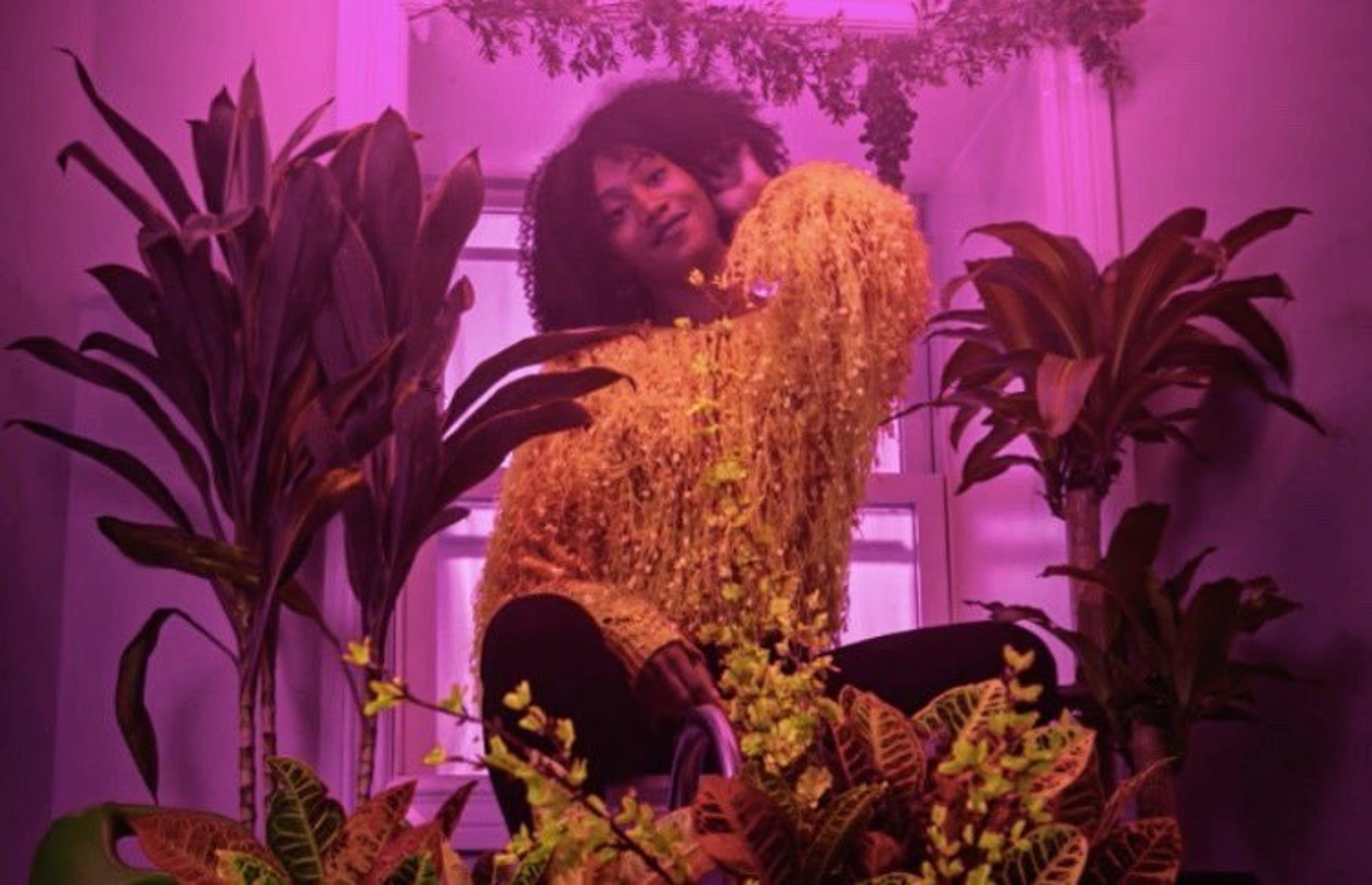 Cover photo of Intertwine