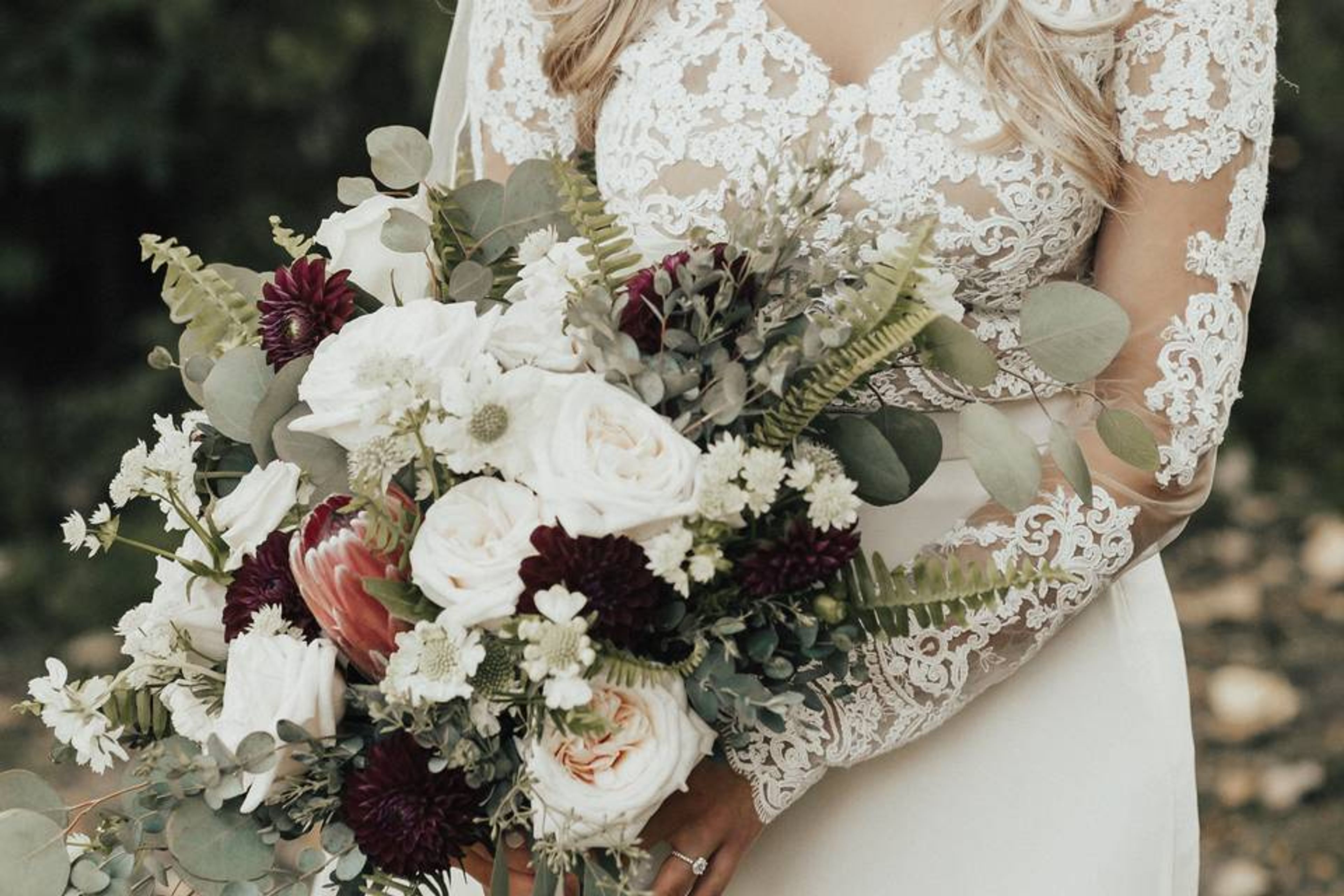 Cover photo of Luminous Blooms