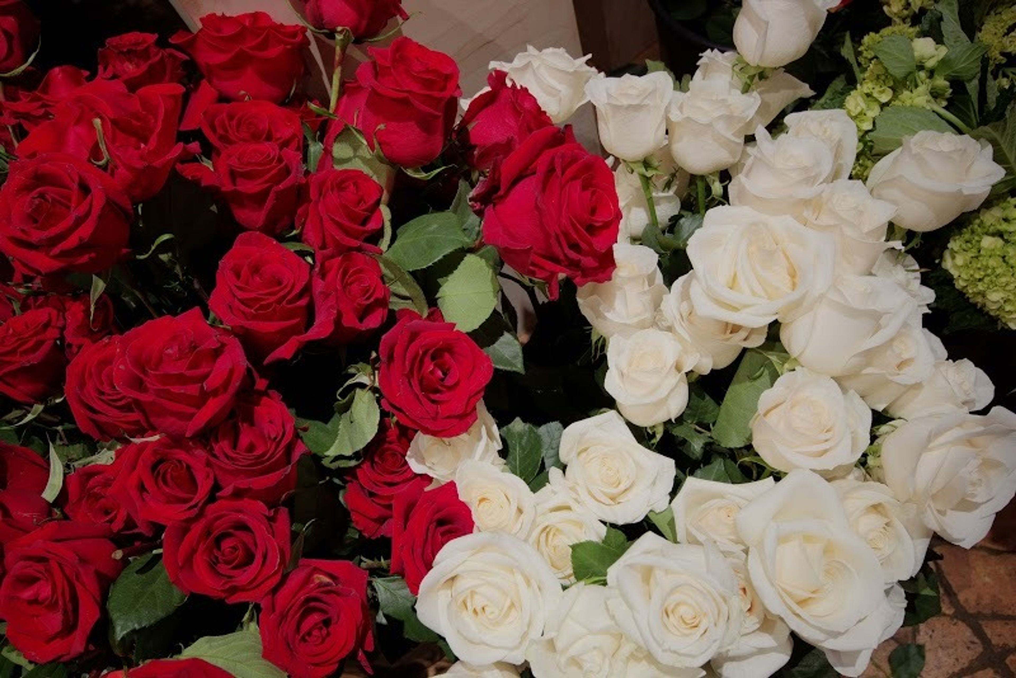 Cover photo of Allan Woods Flowers