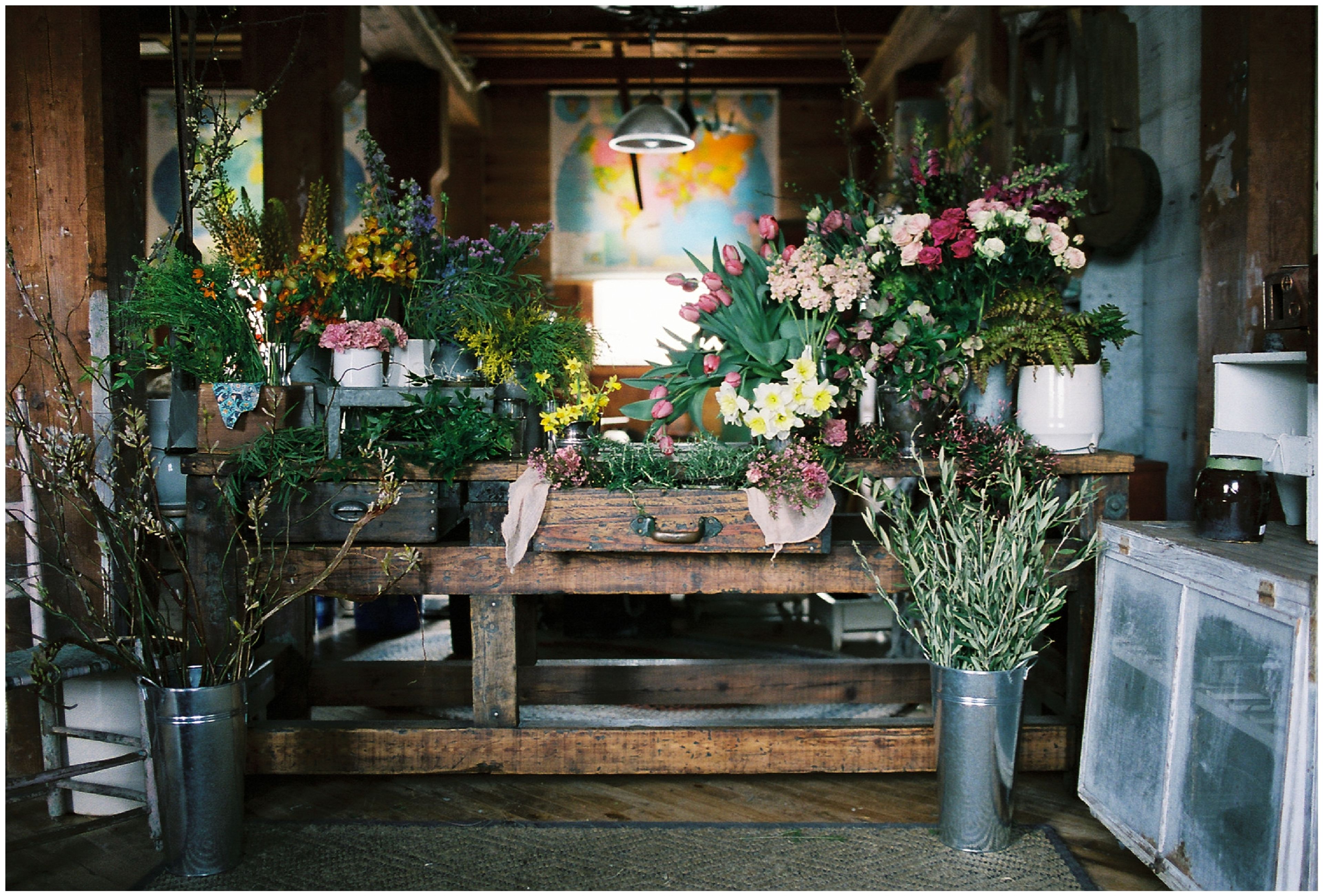 Cover photo of Beaumont House Design