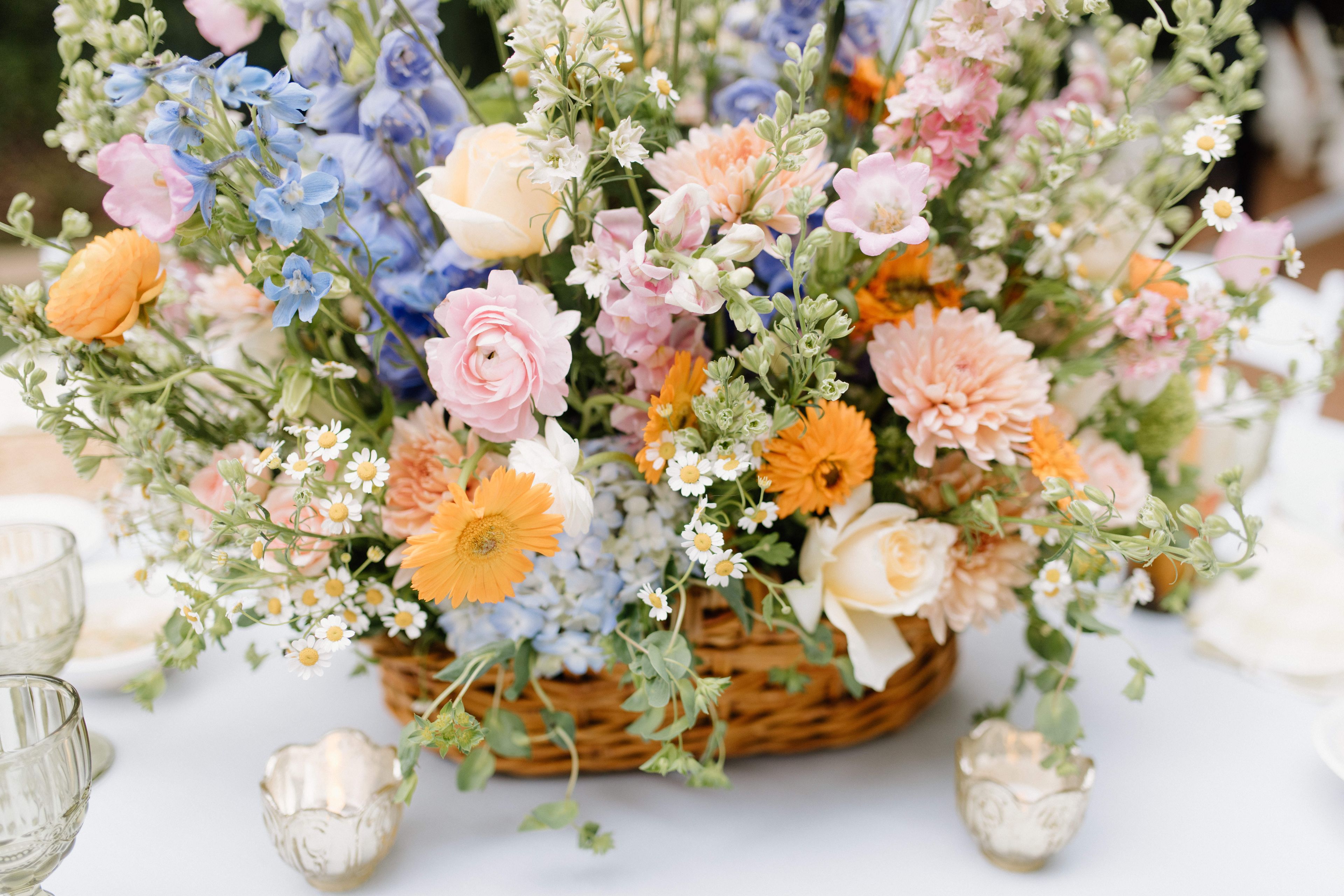 Cover photo of Courtney Morris Collective