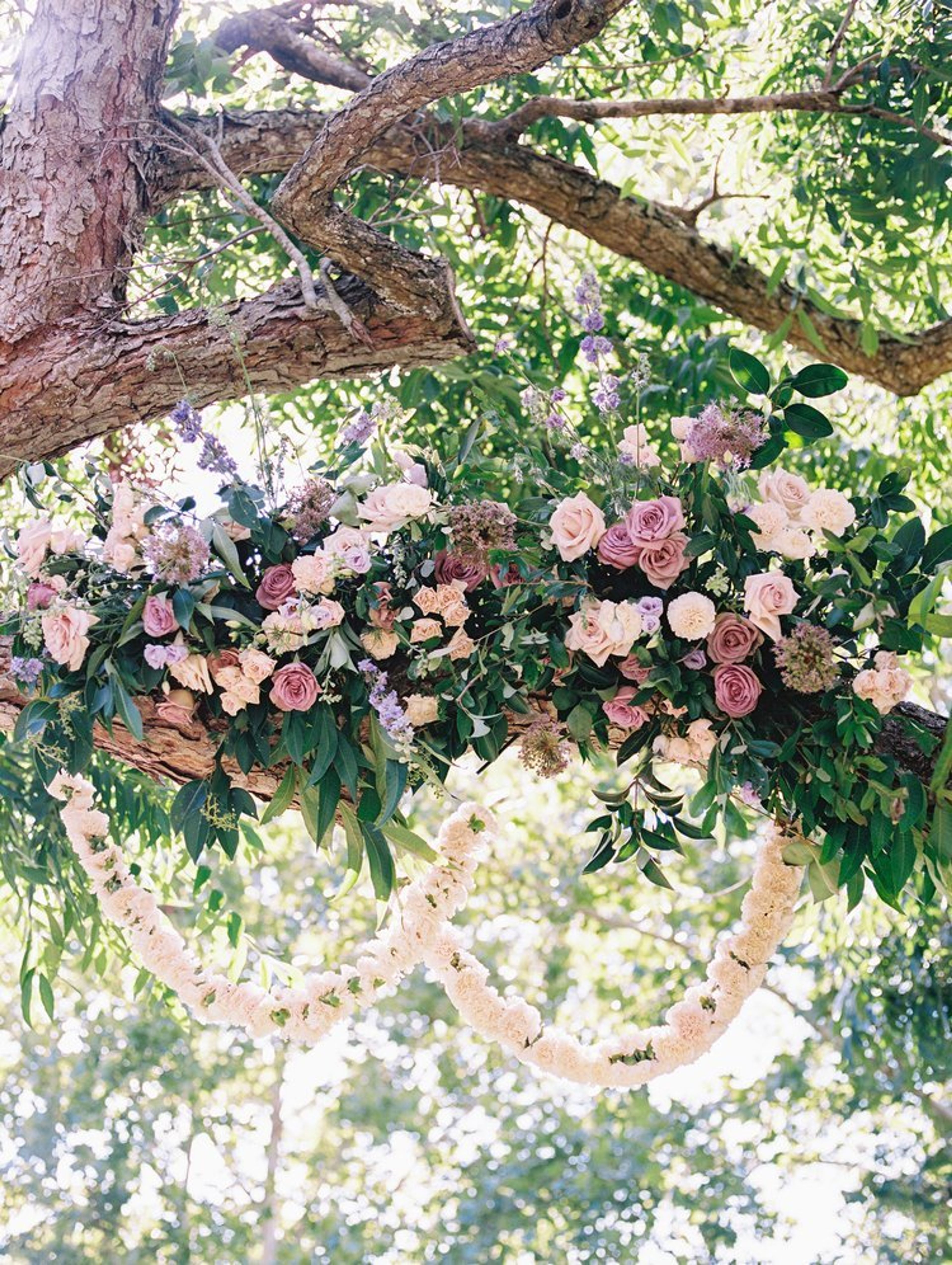 Cover photo of Tin Cup Flower Co.