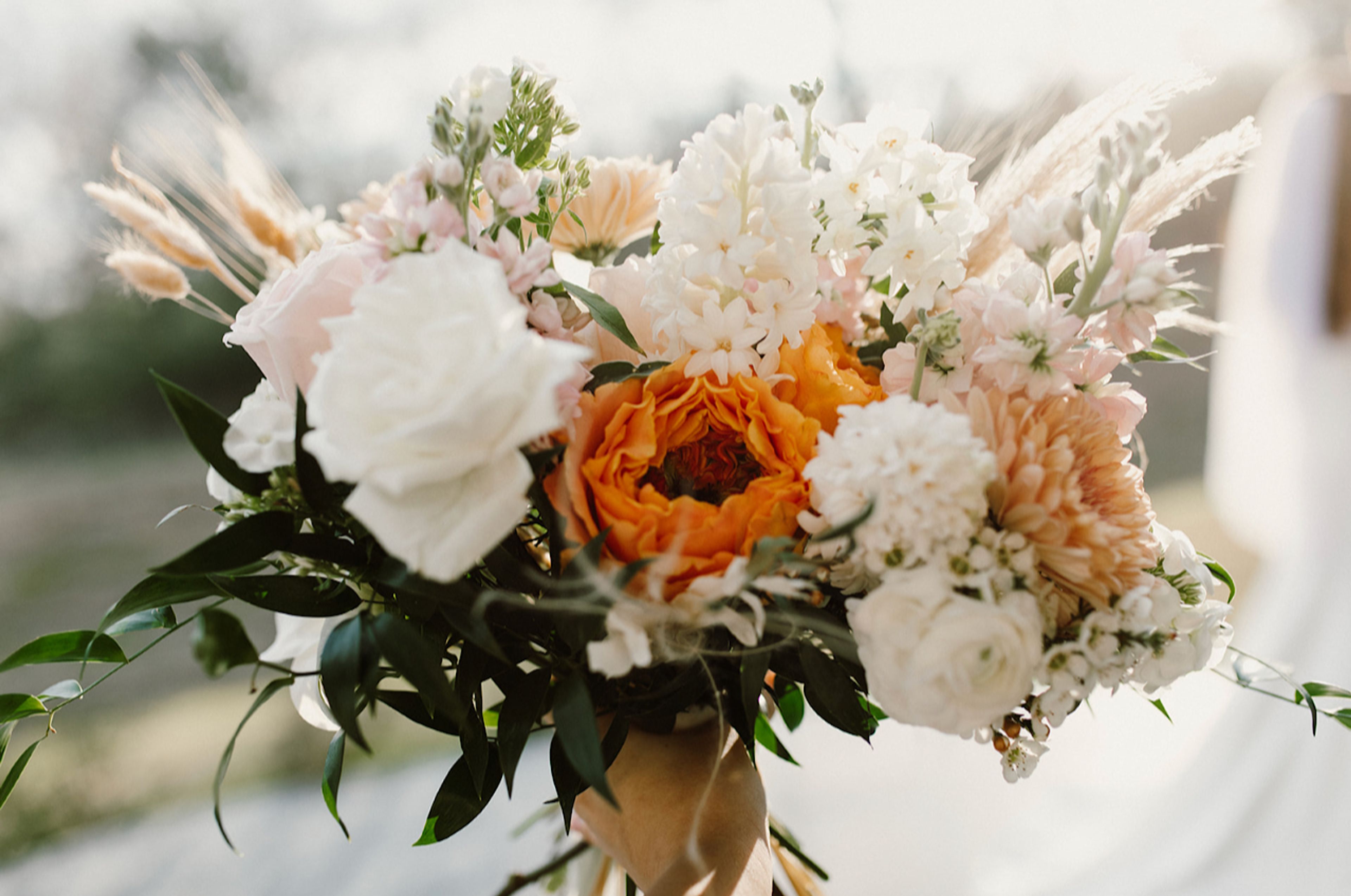 Cover photo of Bring Joy