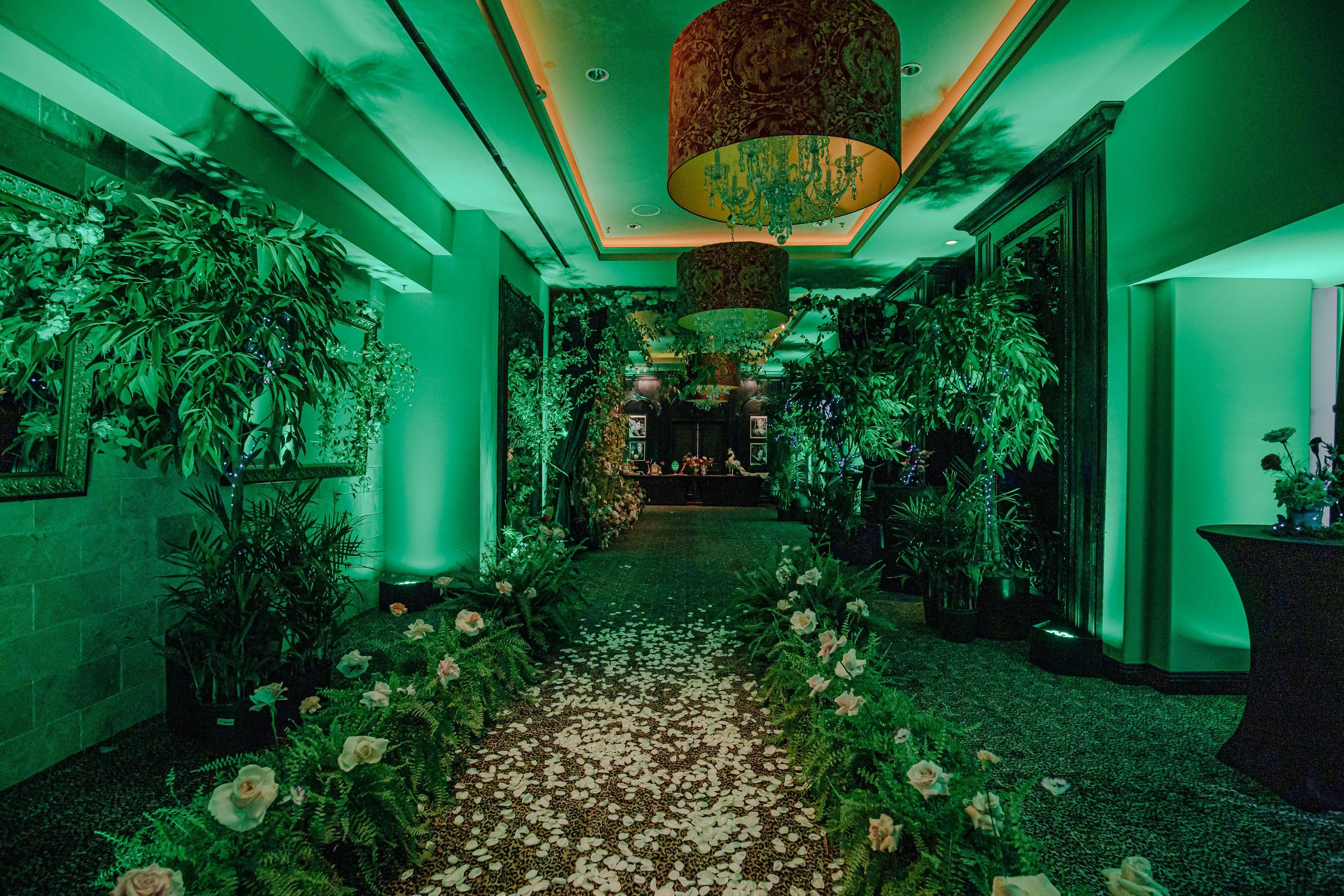 Cover photo of Macy Lima Celebrations + Events