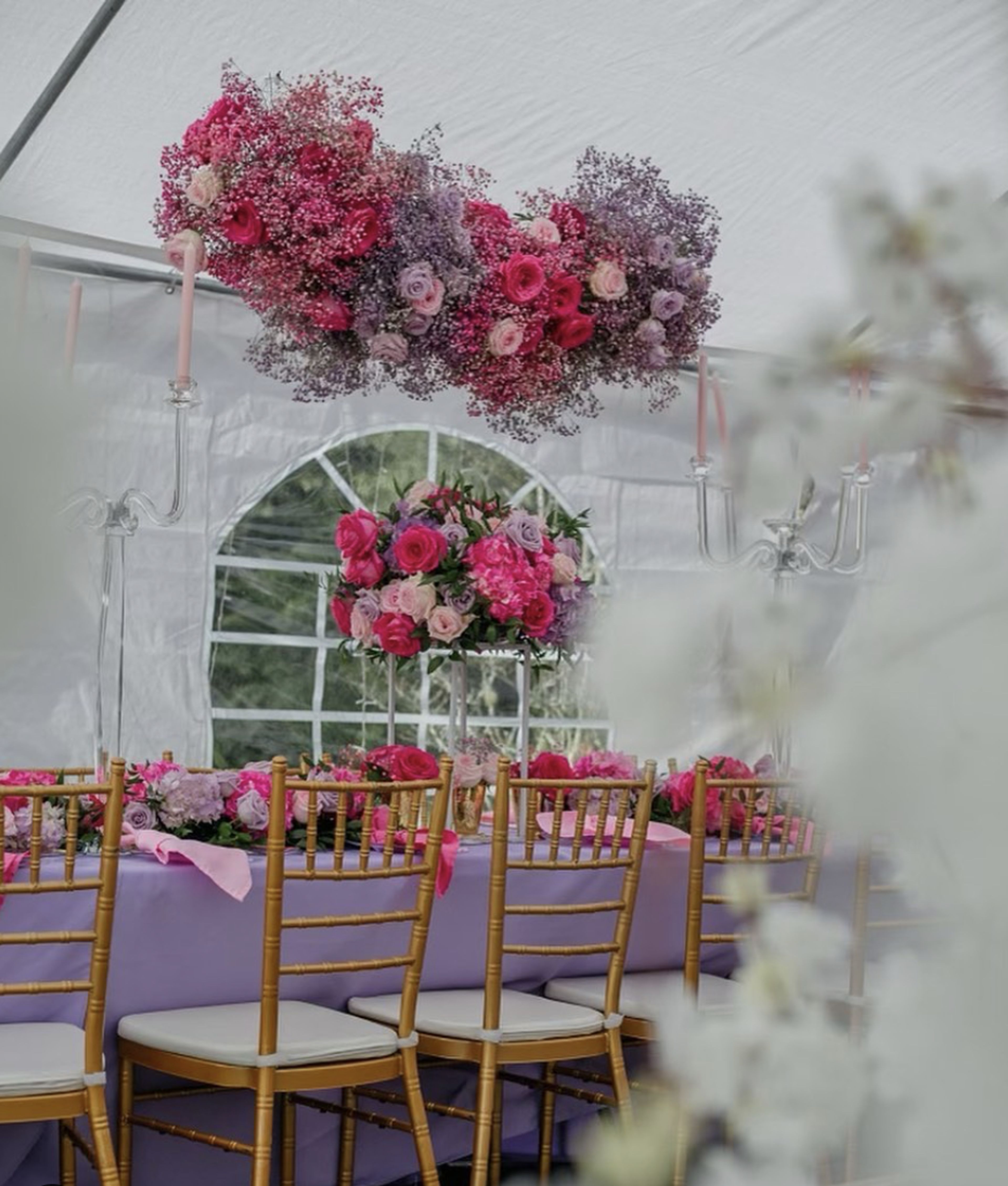 Cover photo of Eufleuria Co