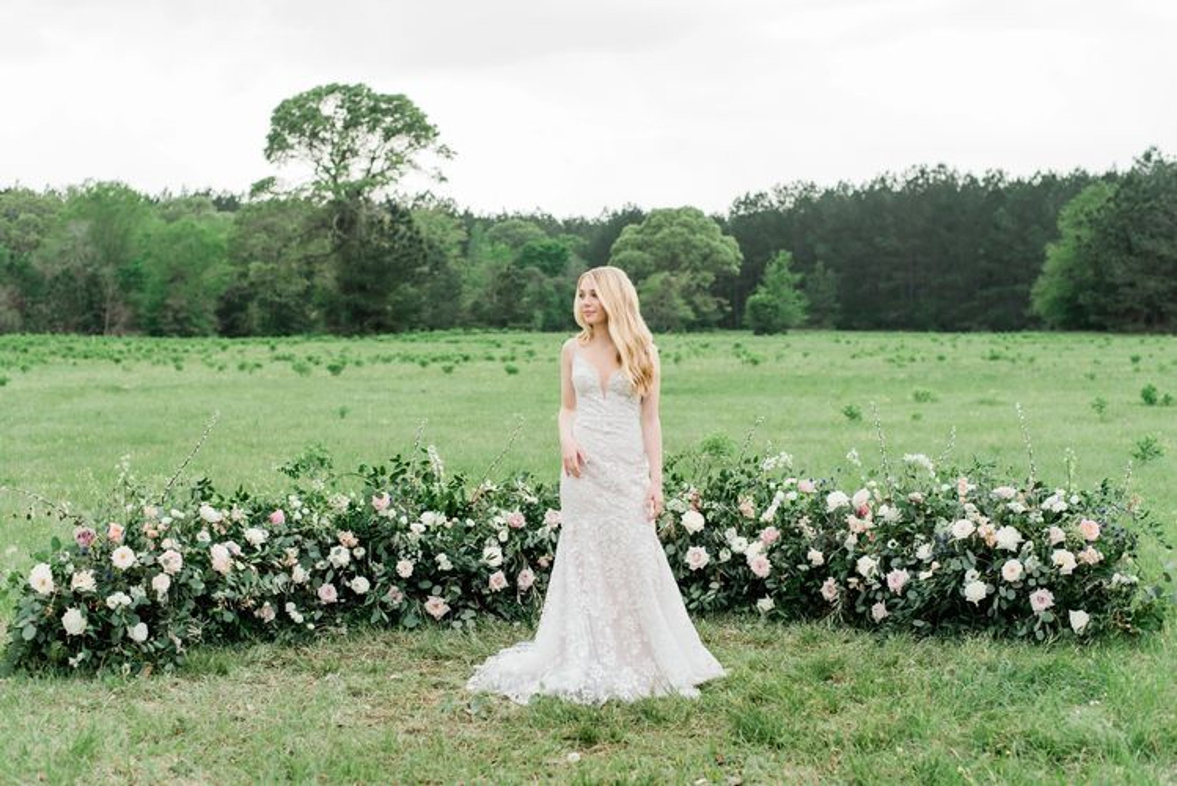 Cover photo of Petal and Stem