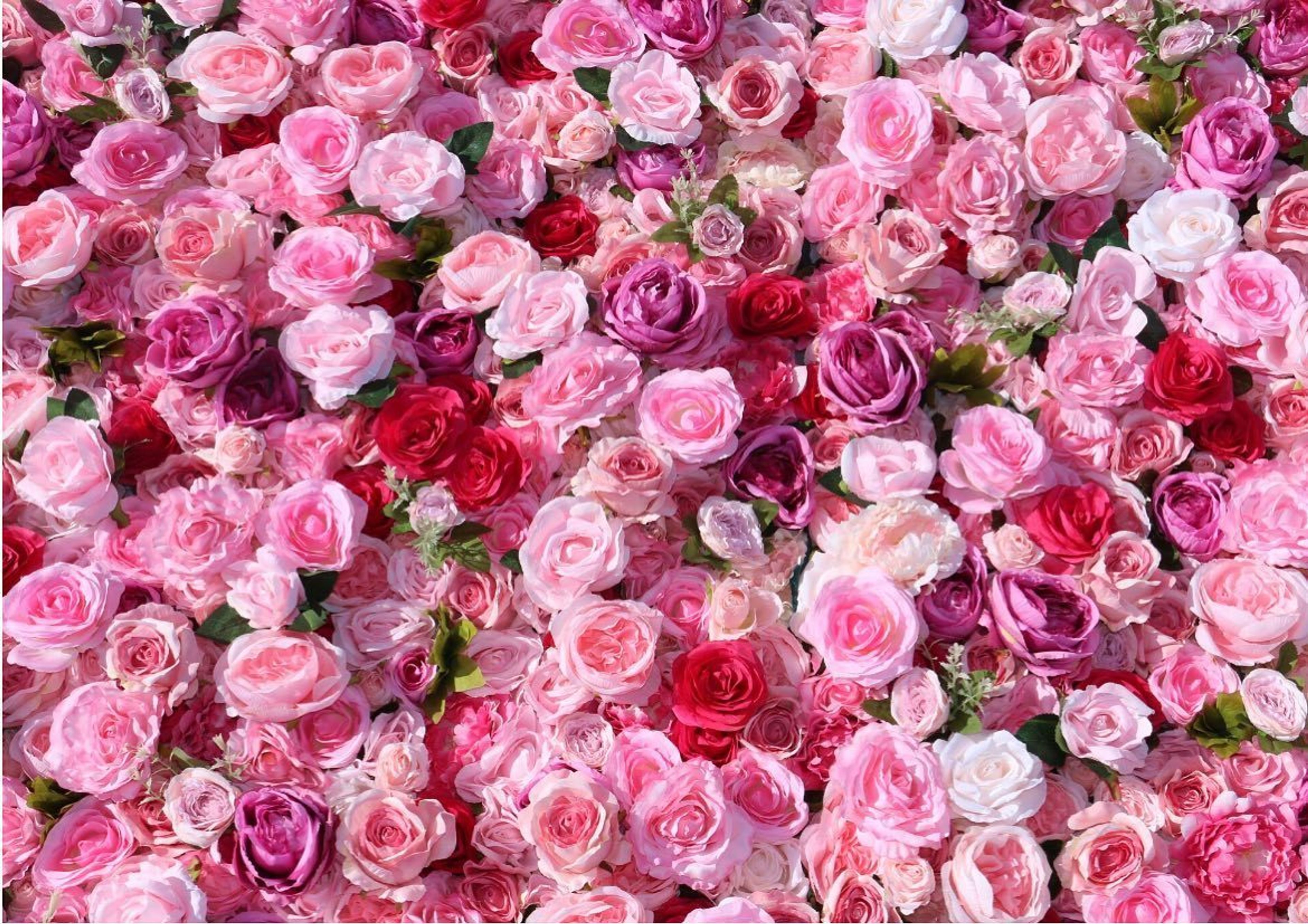 Cover photo of Houston Flower Wall Co.