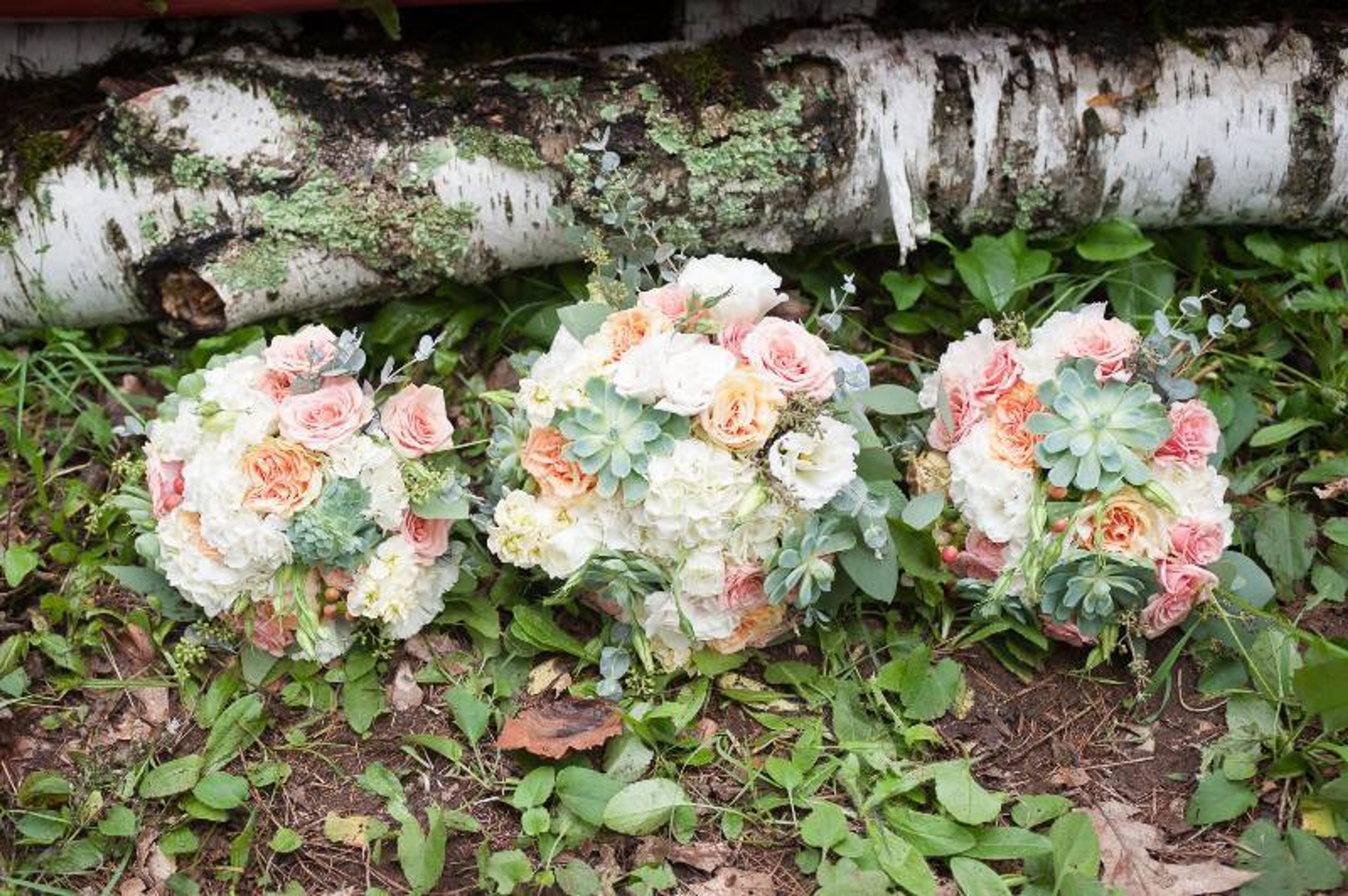 Cover photo of Petal Floral Design