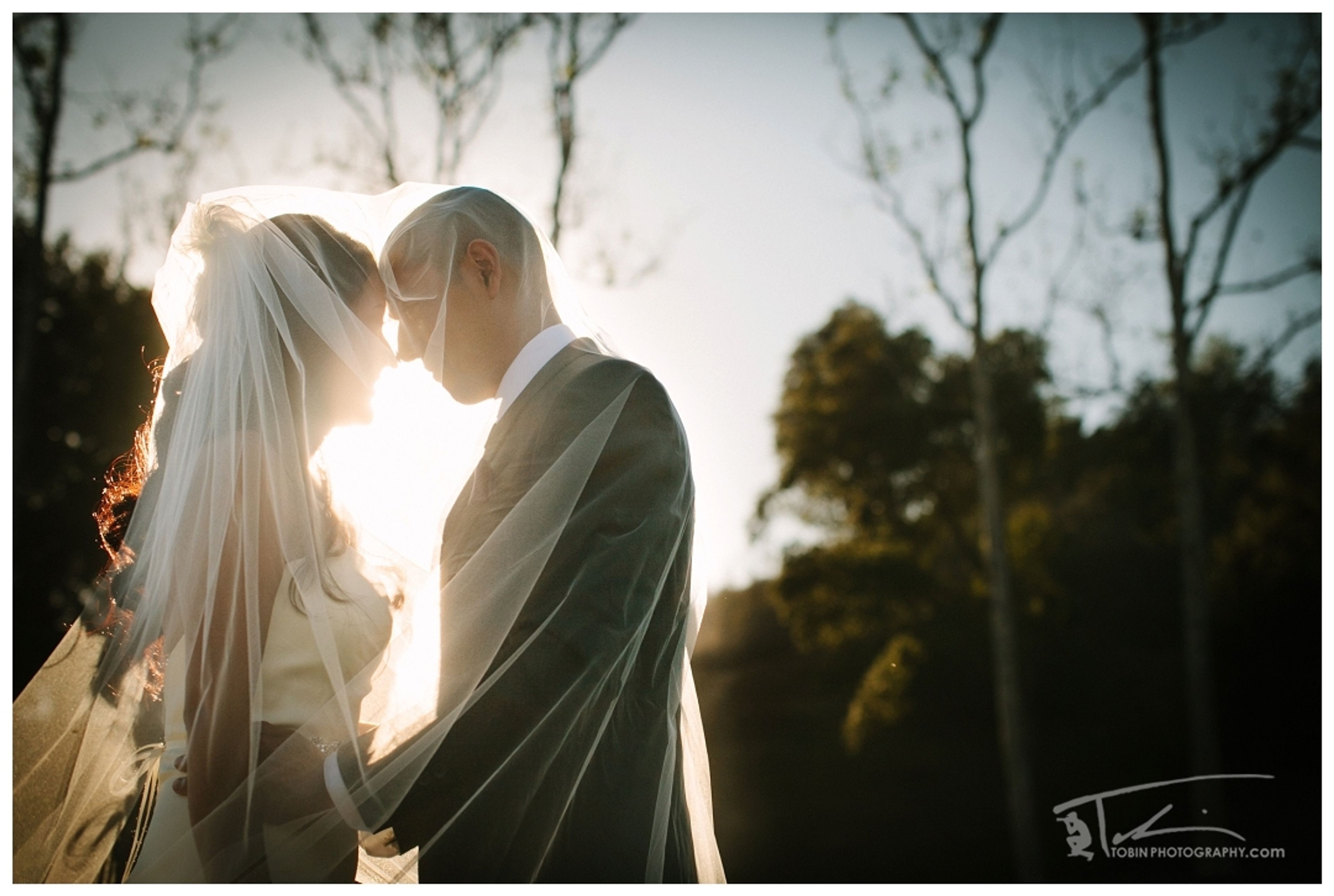 Cover photo of Tobin Photography