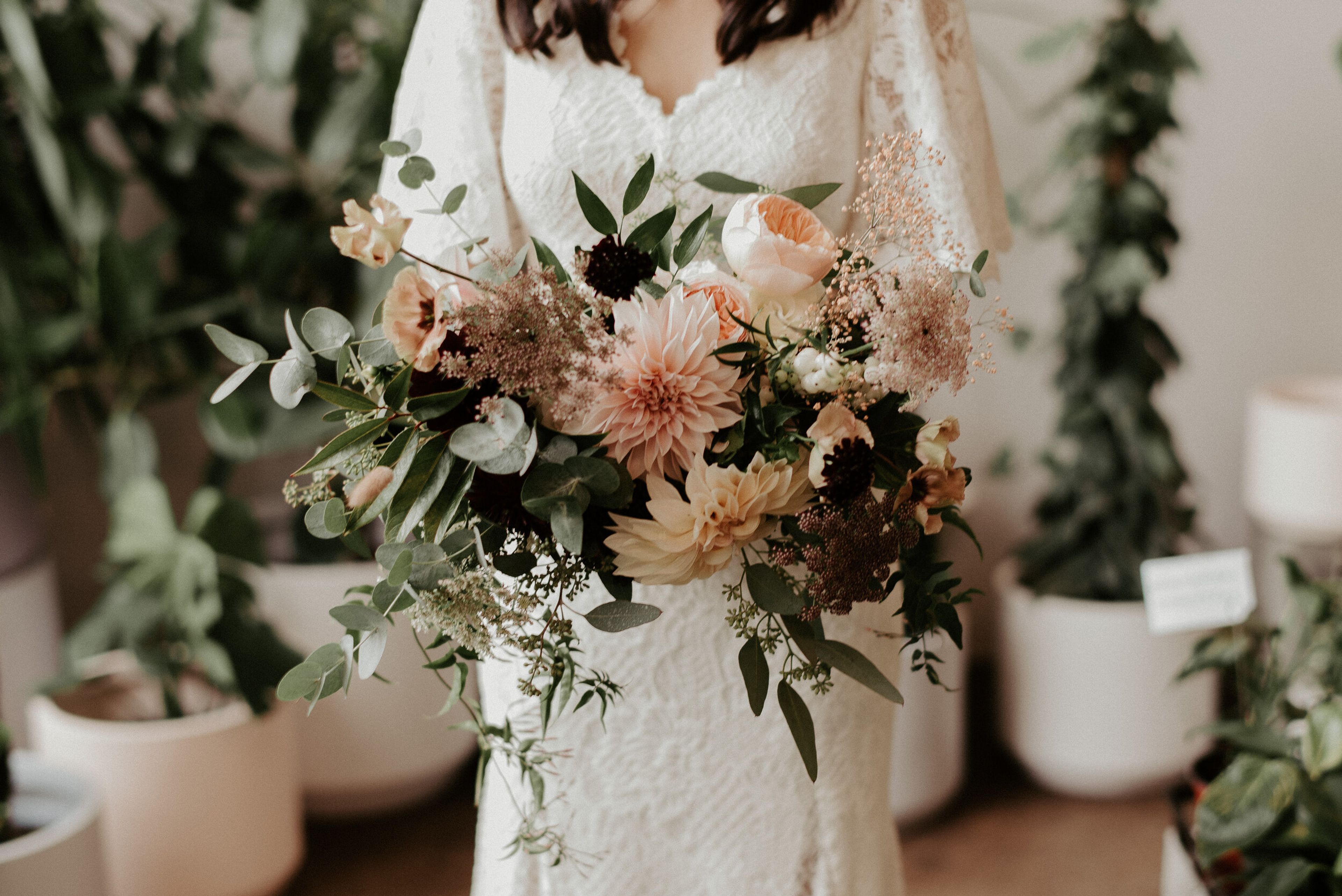 Cover photo of Twig & Briar