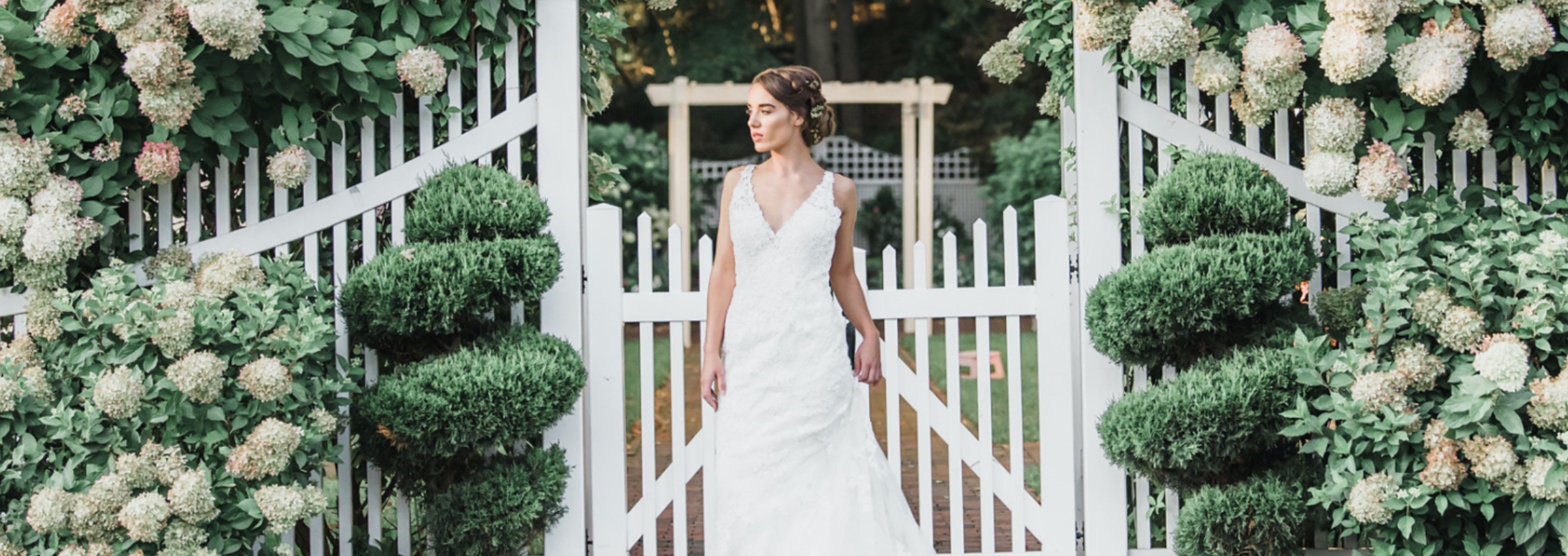 Cover photo of Whitemoss & Twigs