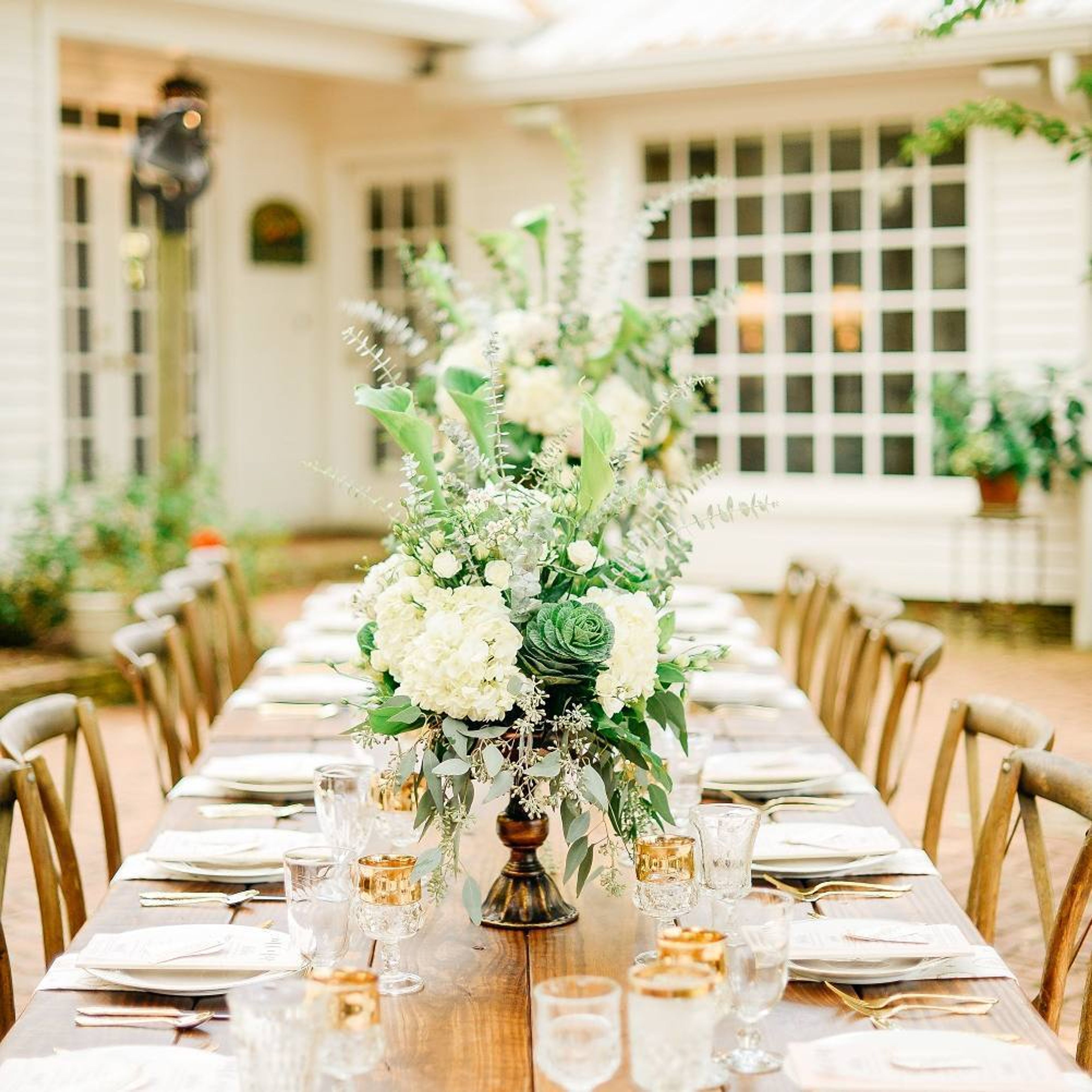 Cover photo of A Delicate Petal by Melissa