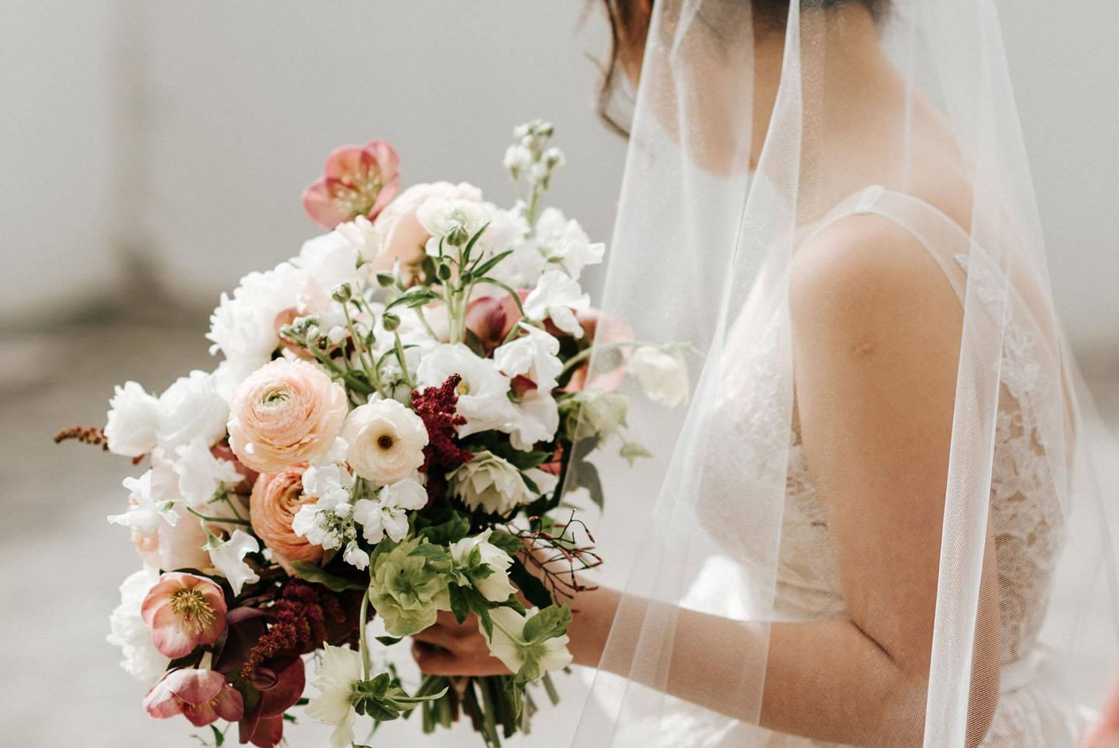 Cover photo of Bantam & Bloom