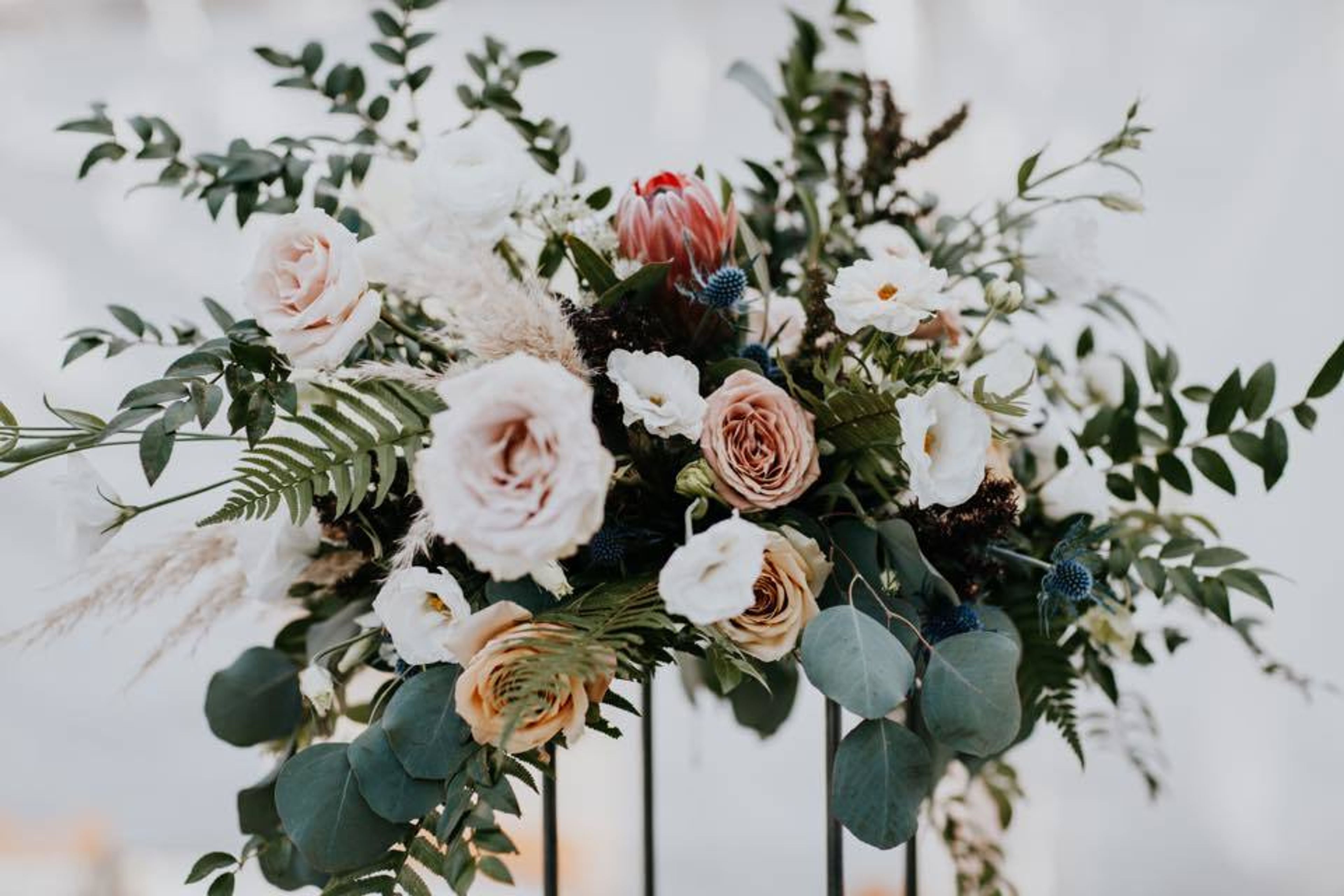 Cover photo of Bowman & Clark