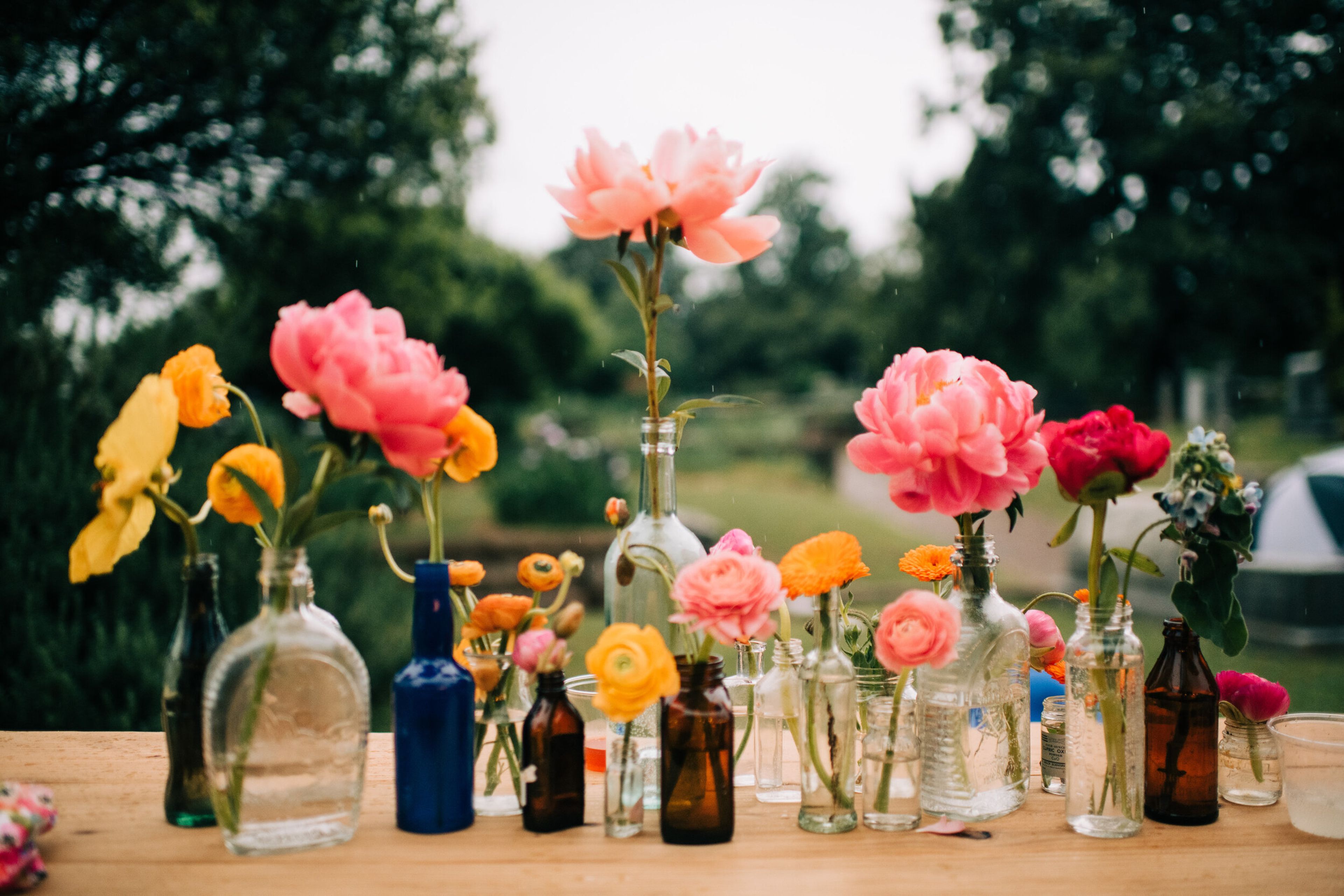 Cover photo of Caroline Worth Design