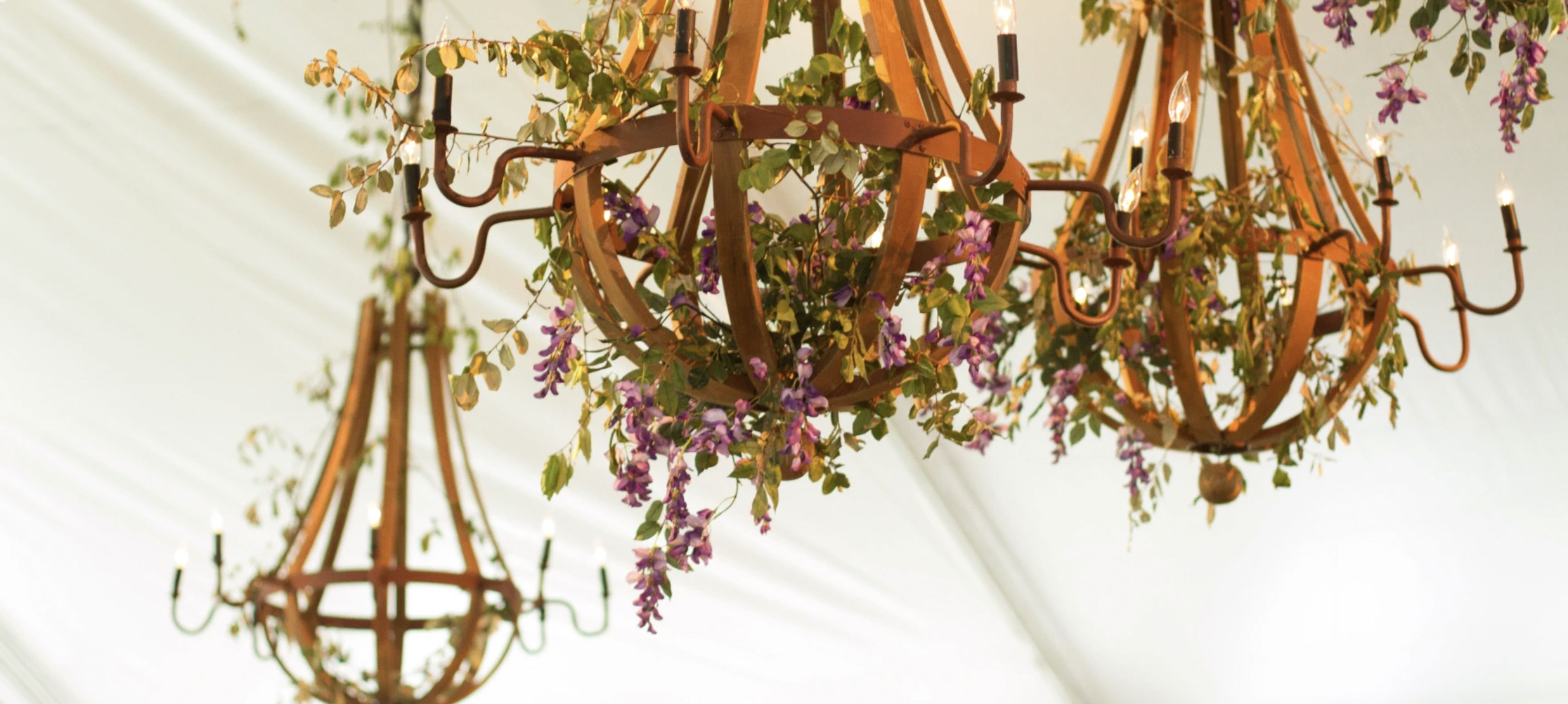 Cover photo of Topher Mack Floral & Events