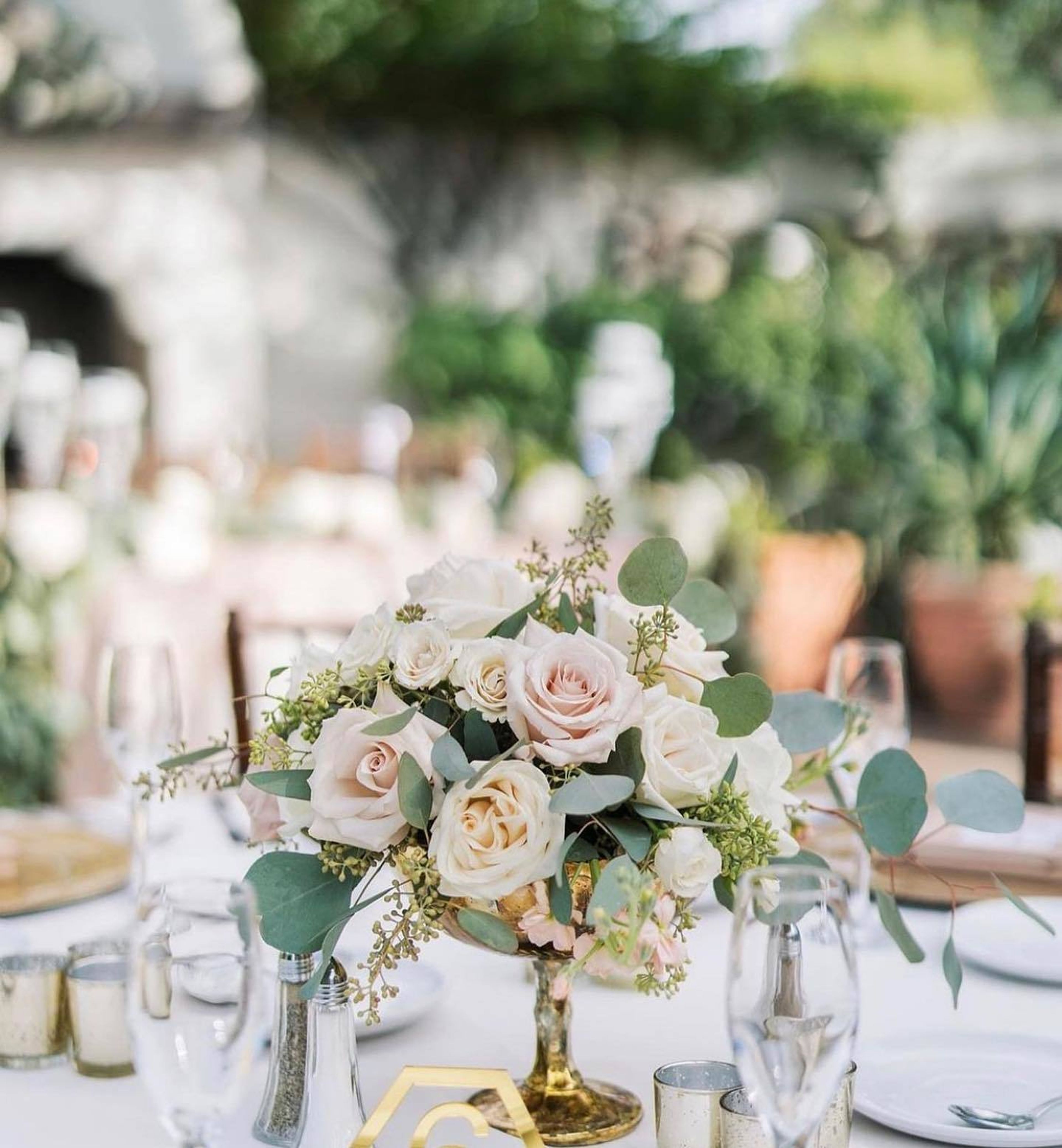 Cover photo of Blissful Blooms