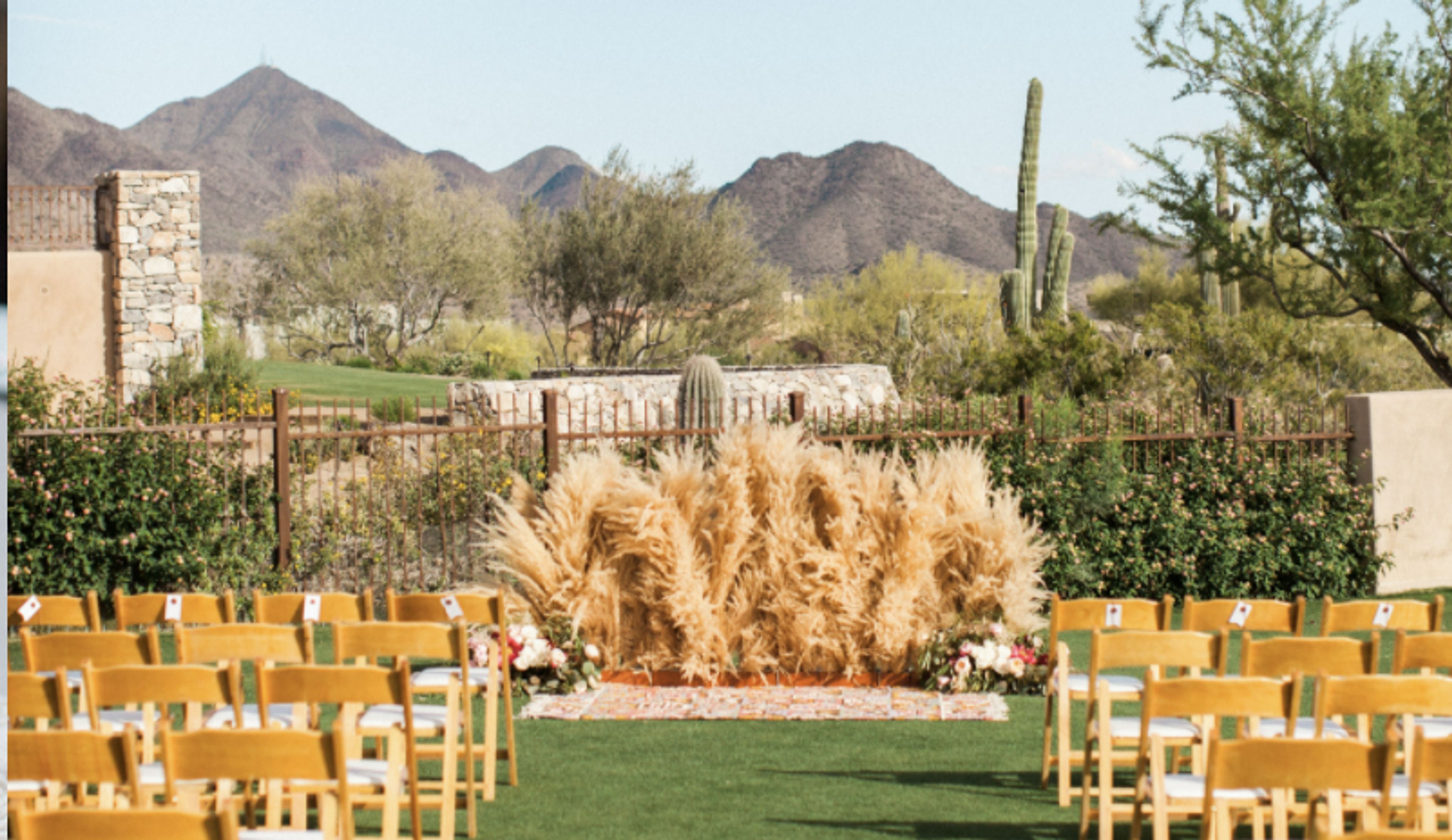 Cover photo of Chasing Bliss Design