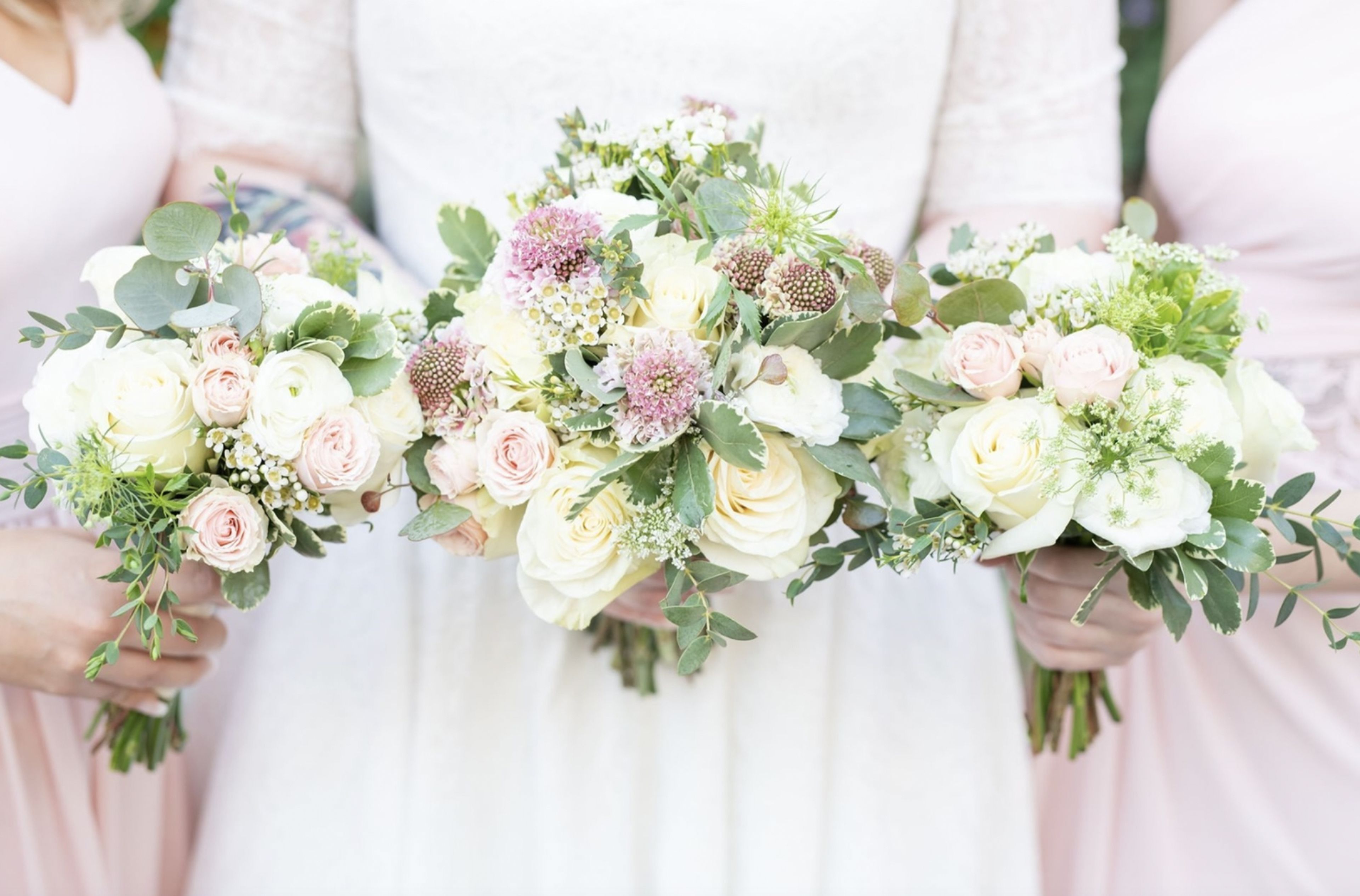 Cover photo of North Scottsdale Floral