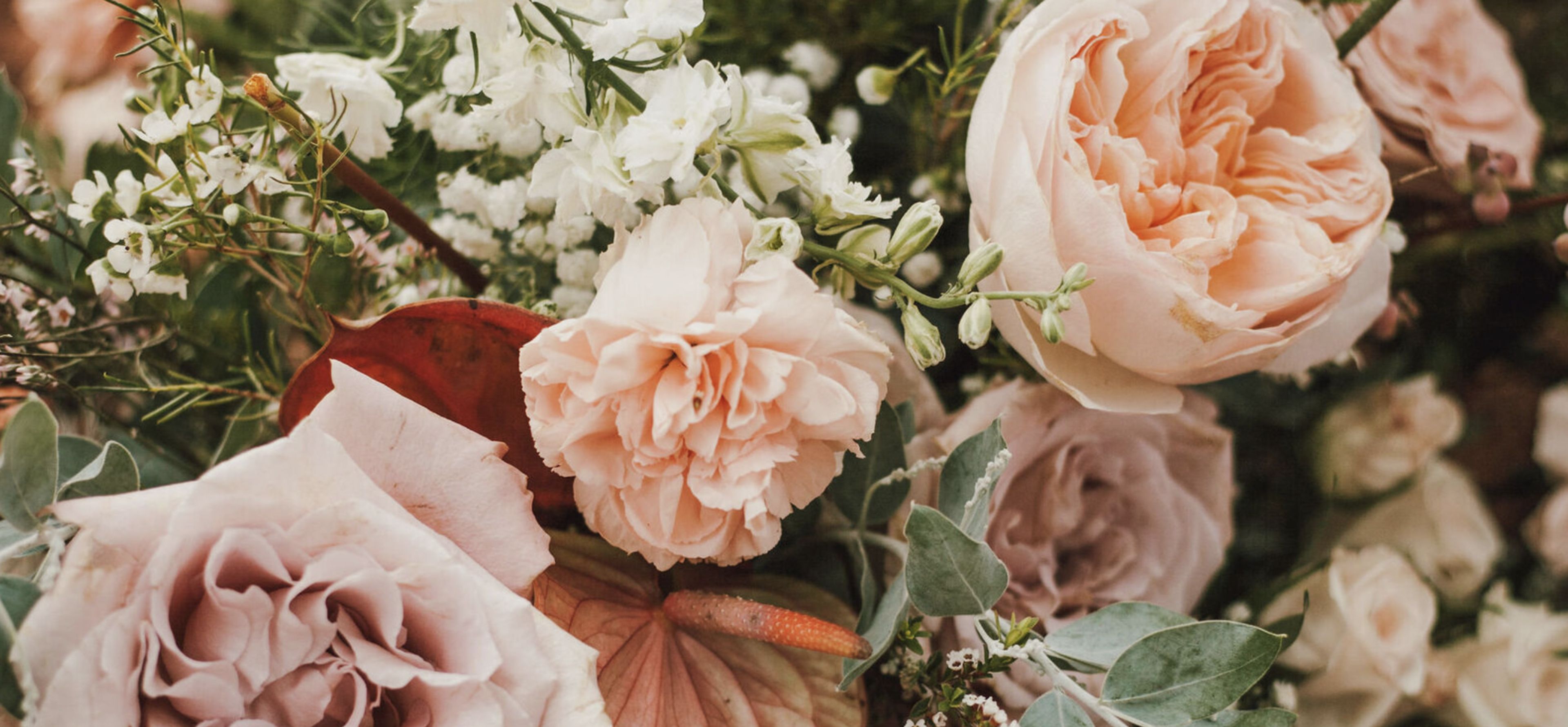 Cover photo of Sarah's Garden