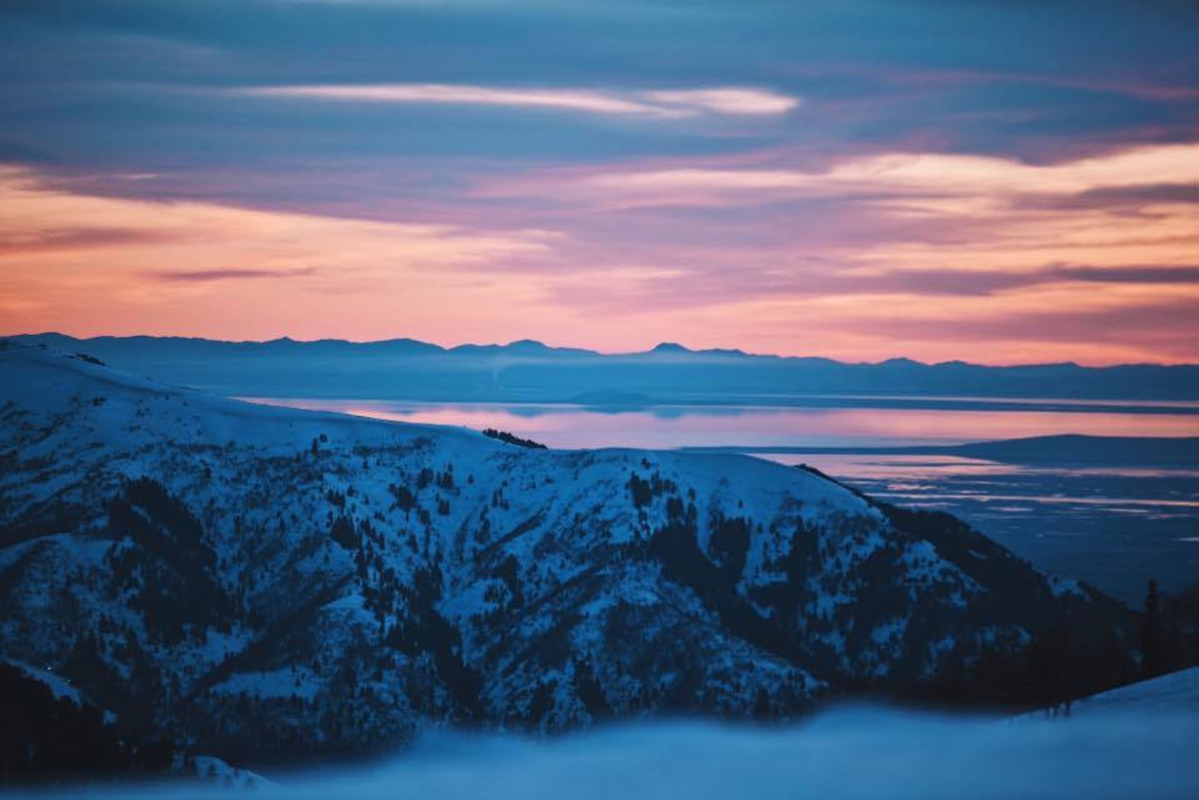 Cover photo of Max Cutrone Films