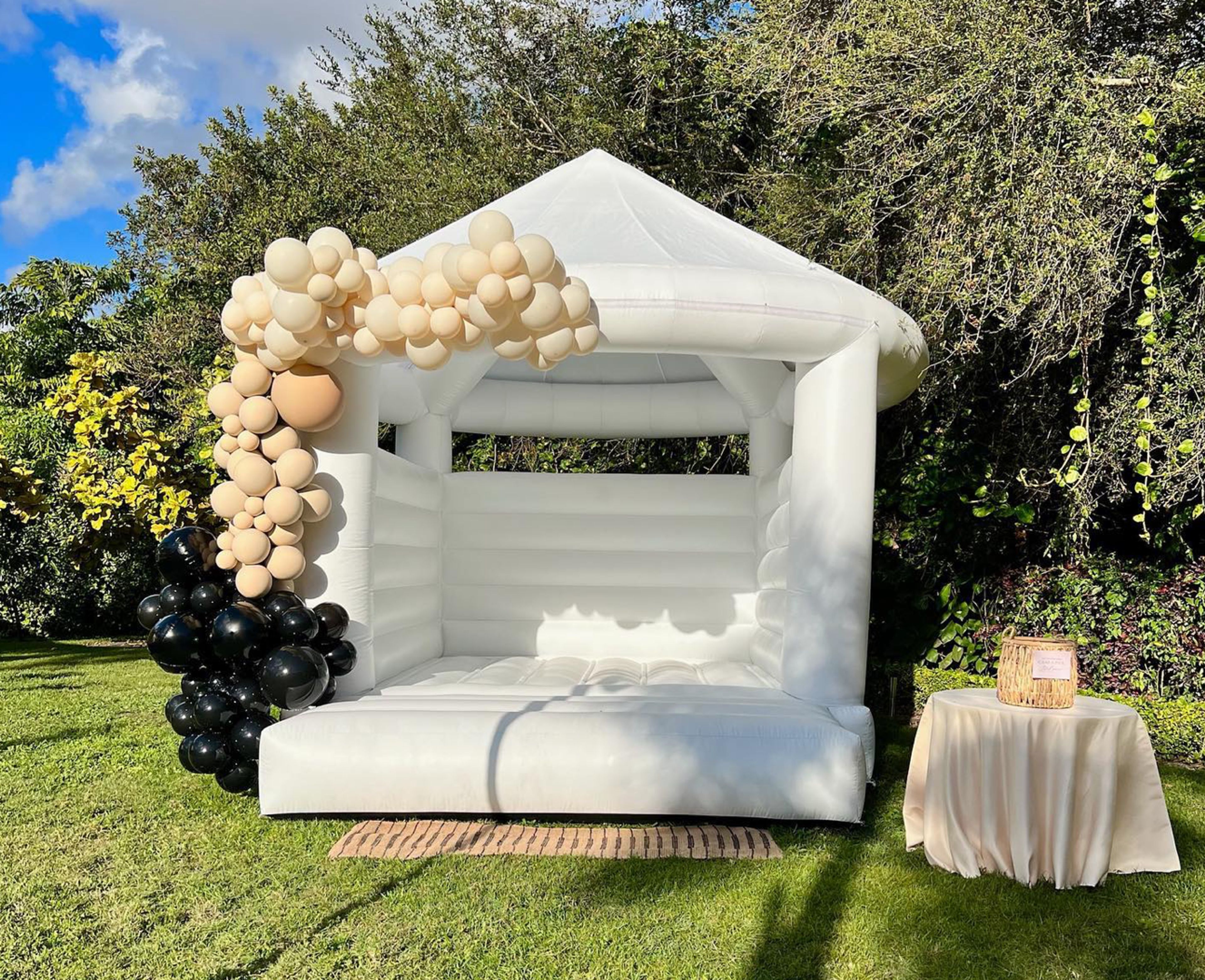 Cover photo of Miami White Bounce House