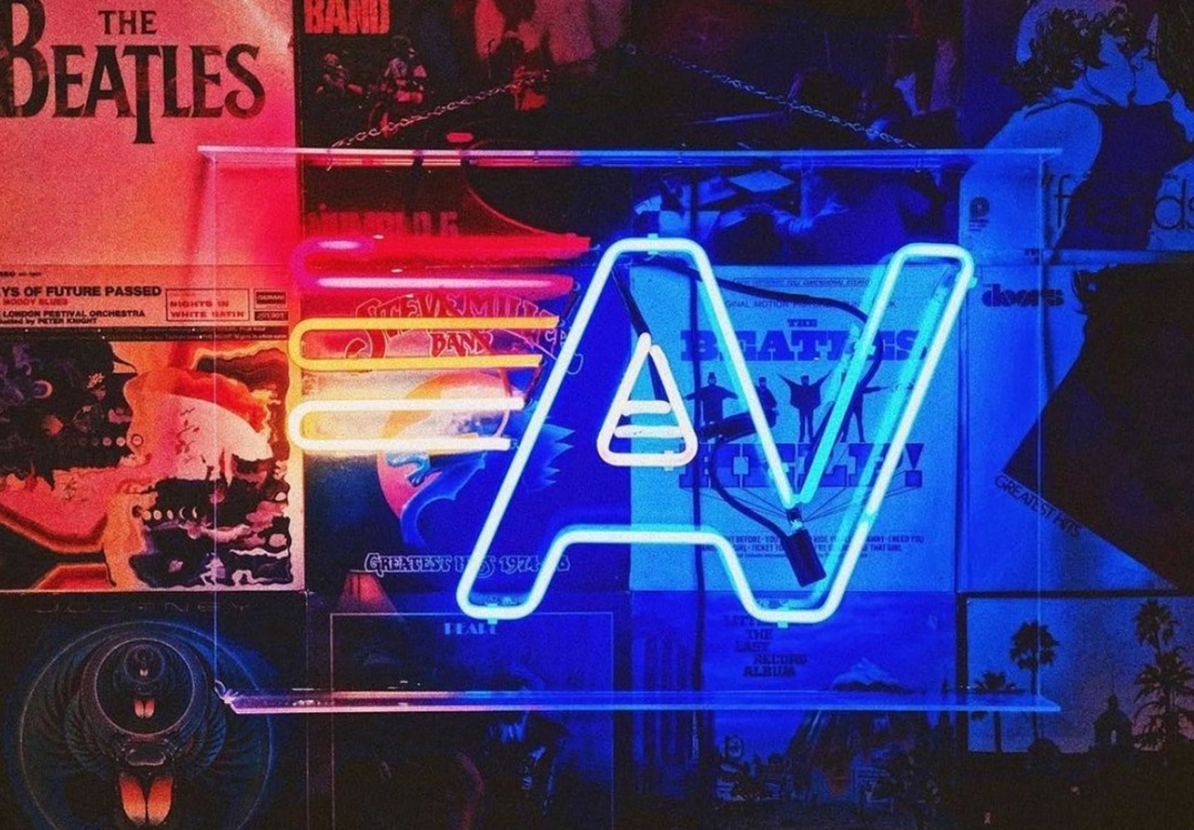 Cover photo of Aviator Nation Dreamland