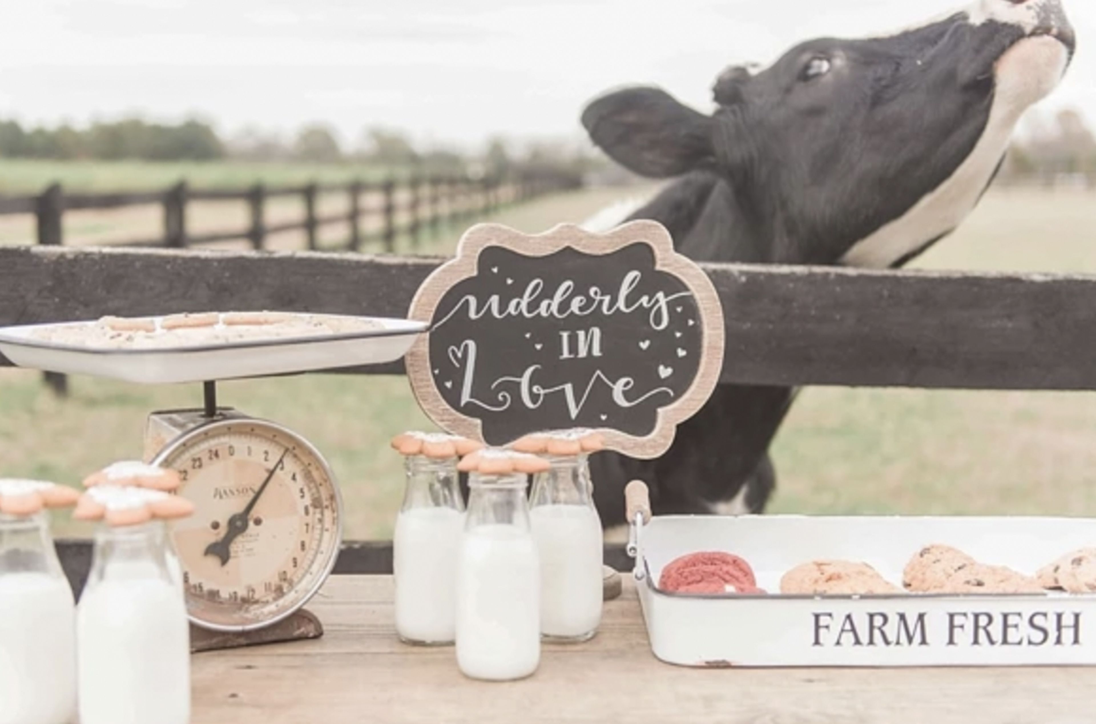 Cover photo of Nance's Rustic Rentals and Events