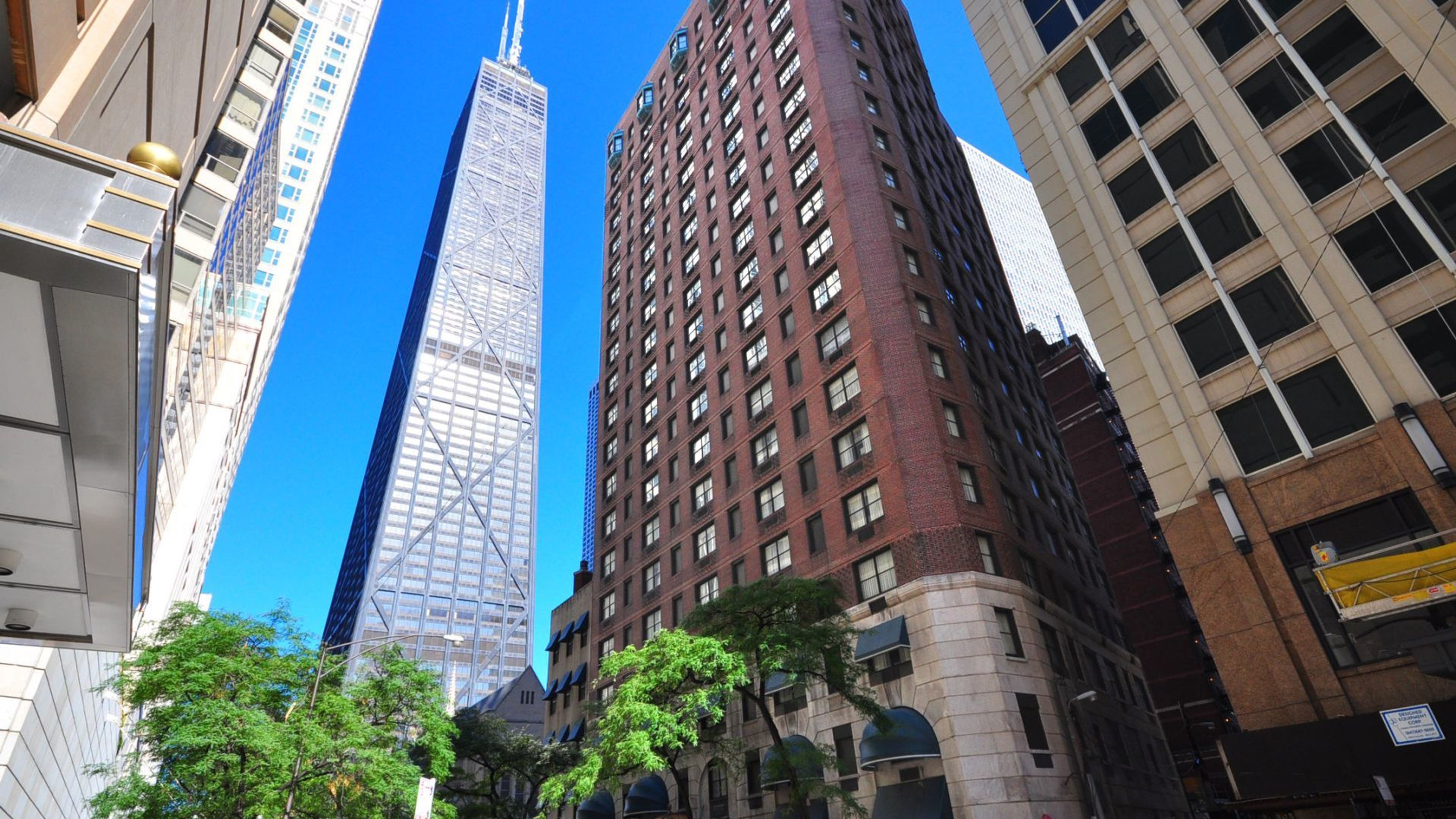 Cover photo of The Whitehall Hotel